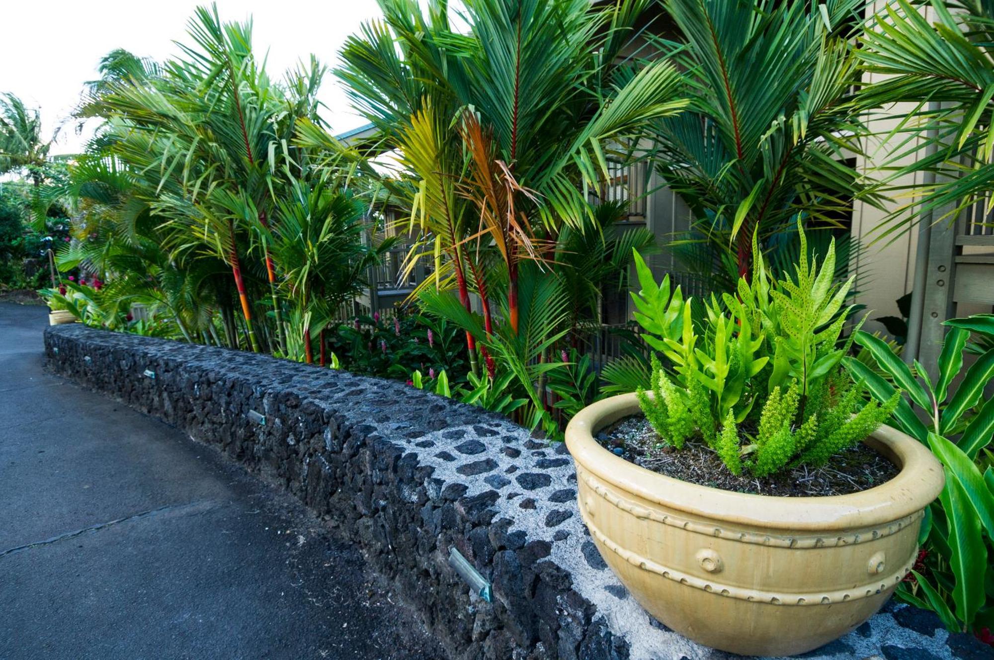 Kai Maui - #204 Waiohinu, Upper Floor 1 Br *