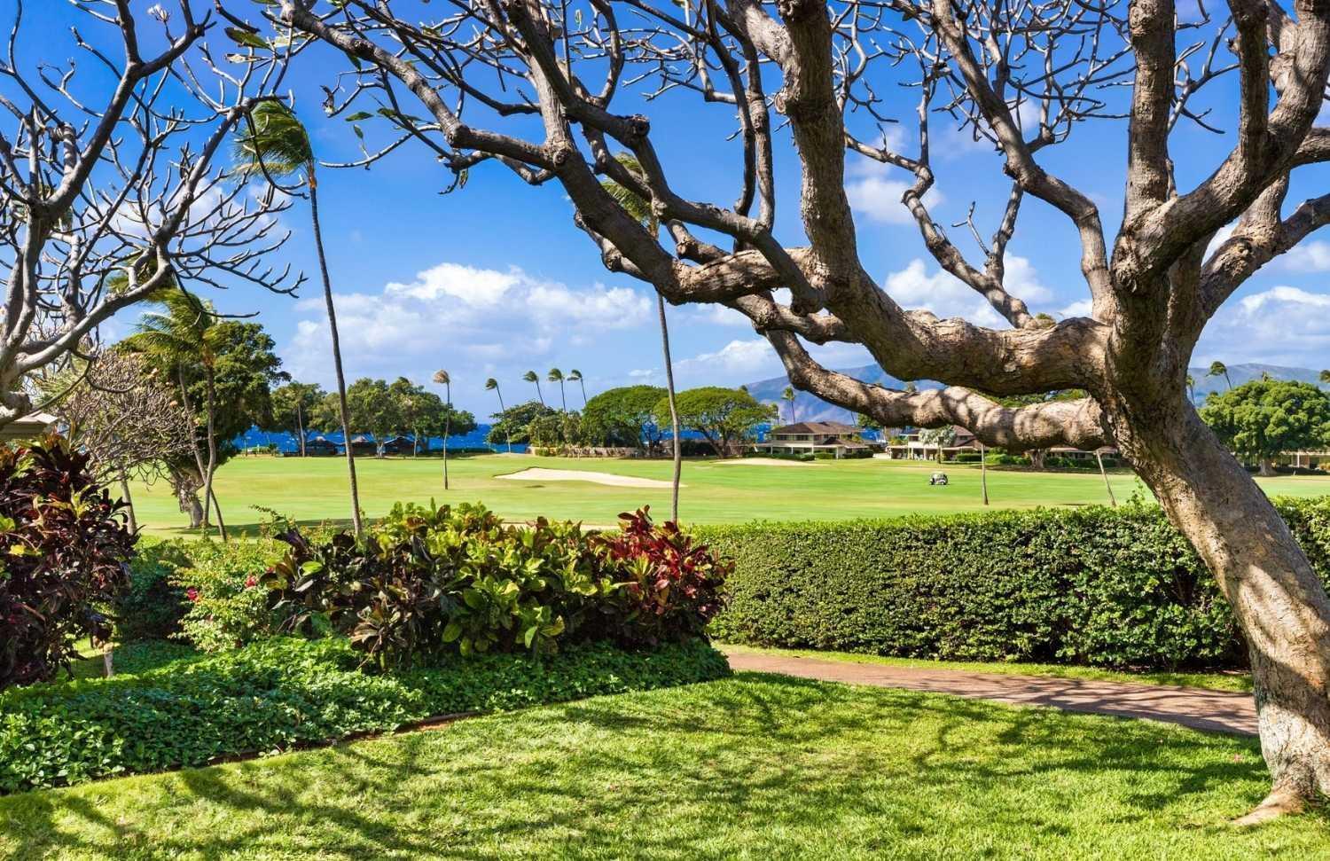 Maui Eldorado - L-105 - Resort