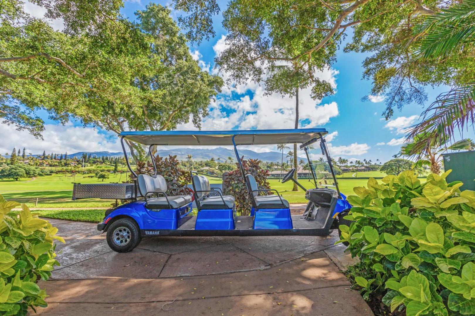 Maui Eldorado - L-105 - * Kahana