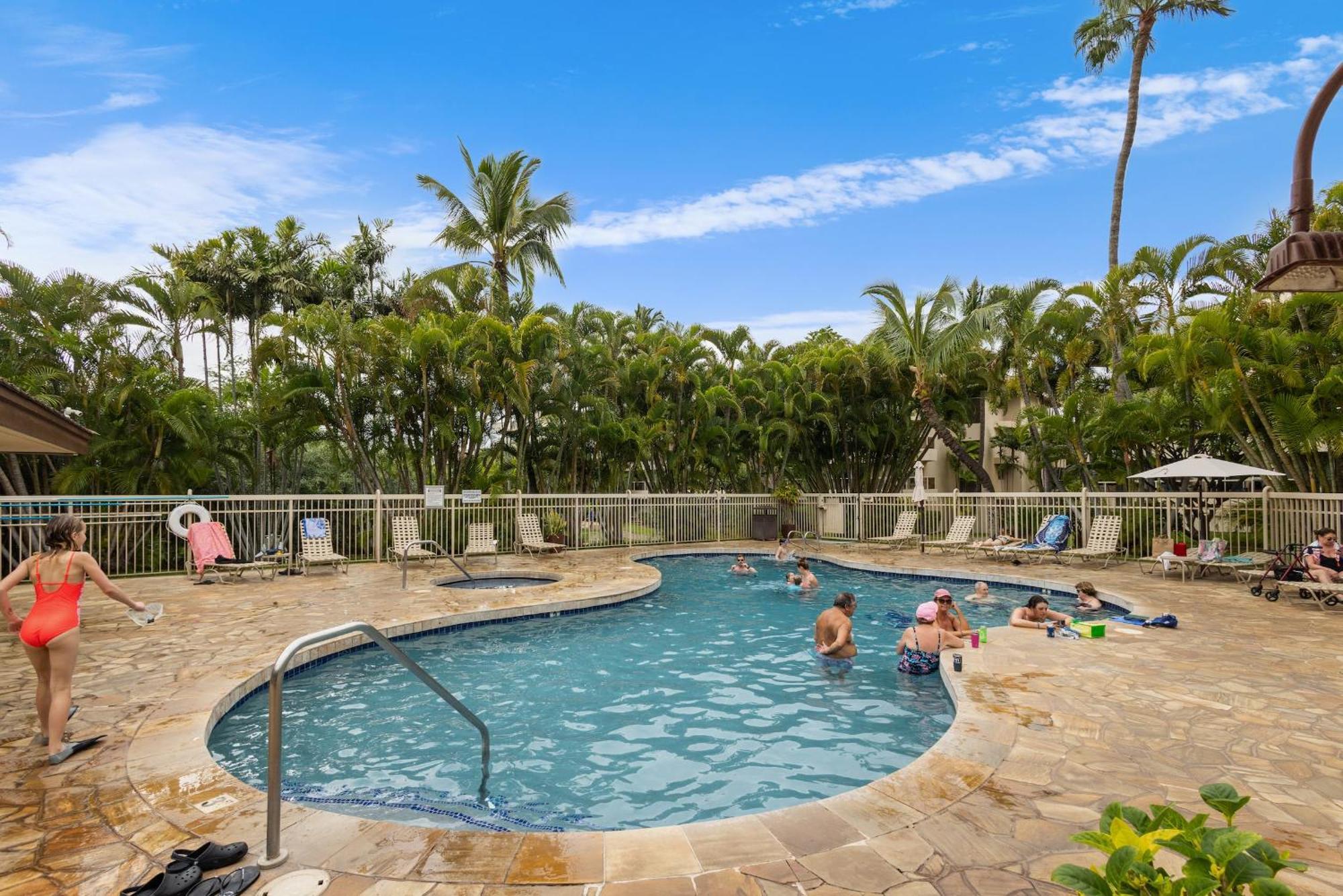 Beautiful Modern Remodeled Maui Banyan