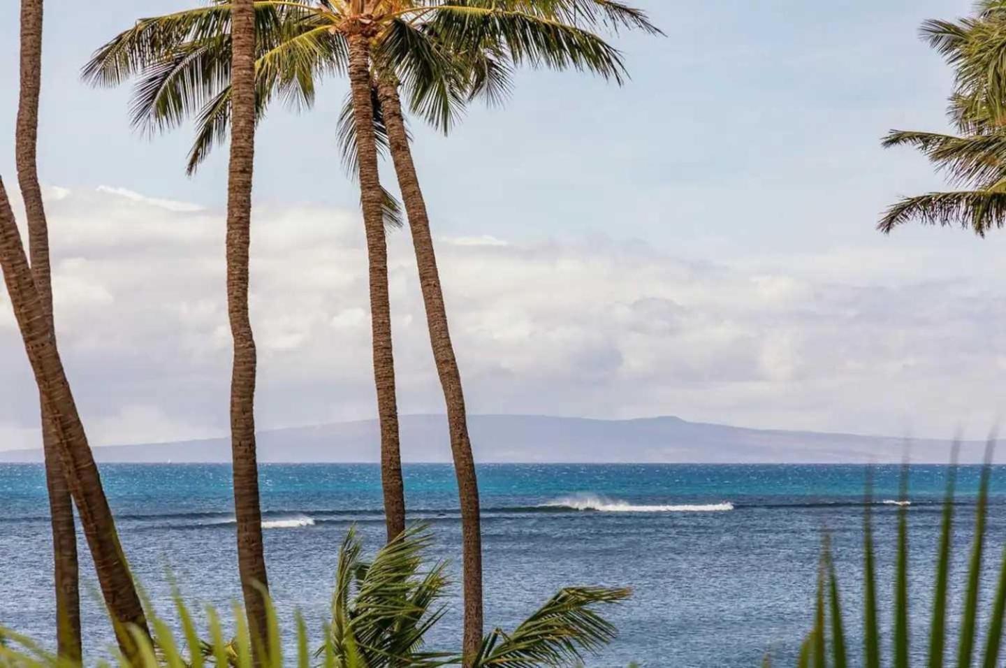 Ma'alaea Banyans 209 Wailuku