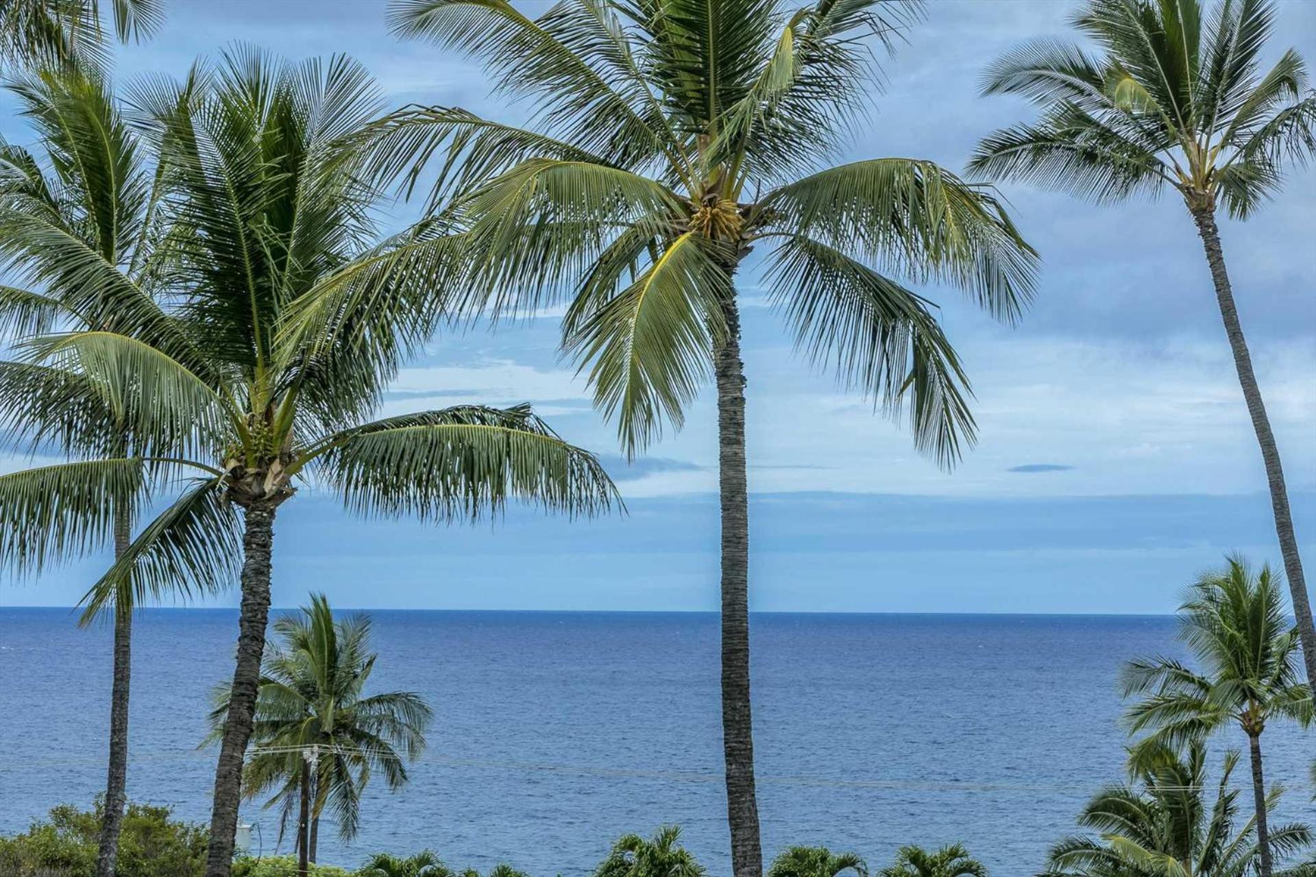 Kihei Akahi - Unit C405 Wailea (Maui)