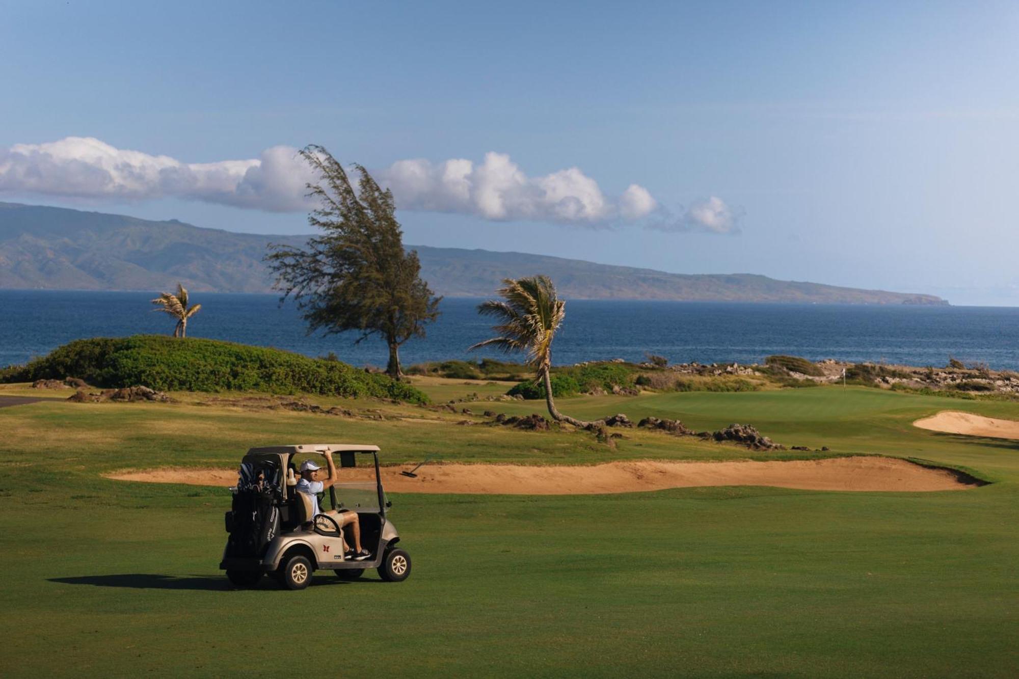 The Ritz-carlton Maui, Kapalua