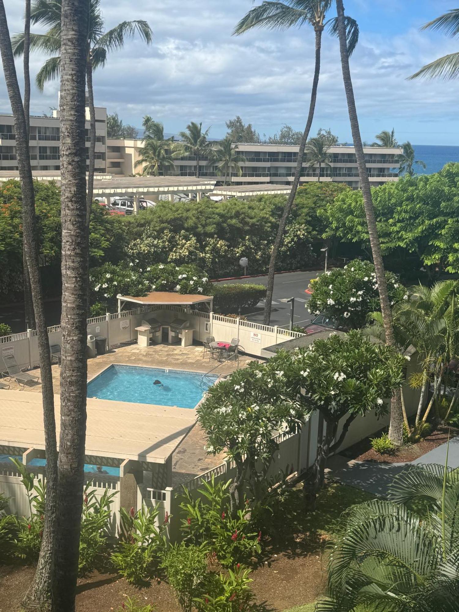 South Maui Ocean View With Free Wifi And Parking * Wailea (Maui)