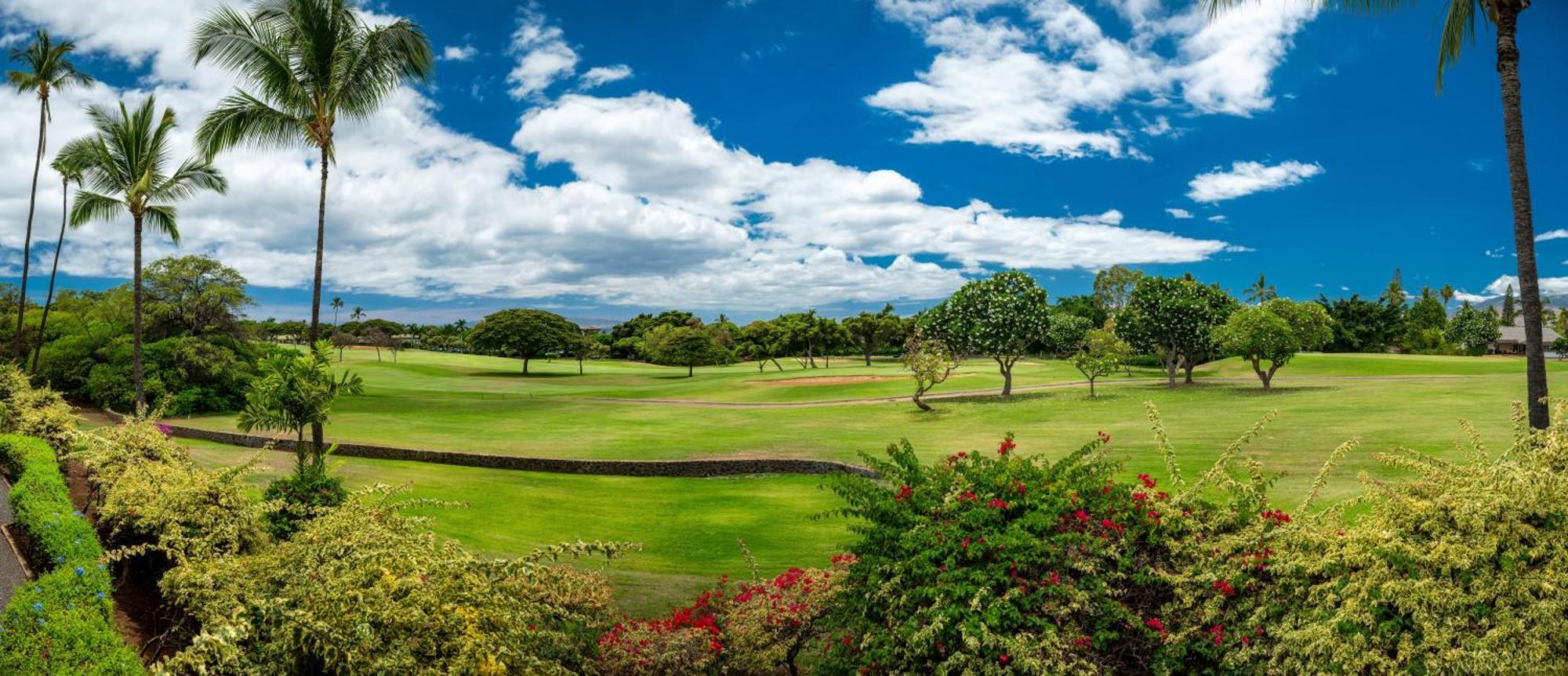 Grand Champions Golf 153 Wailea (Maui)