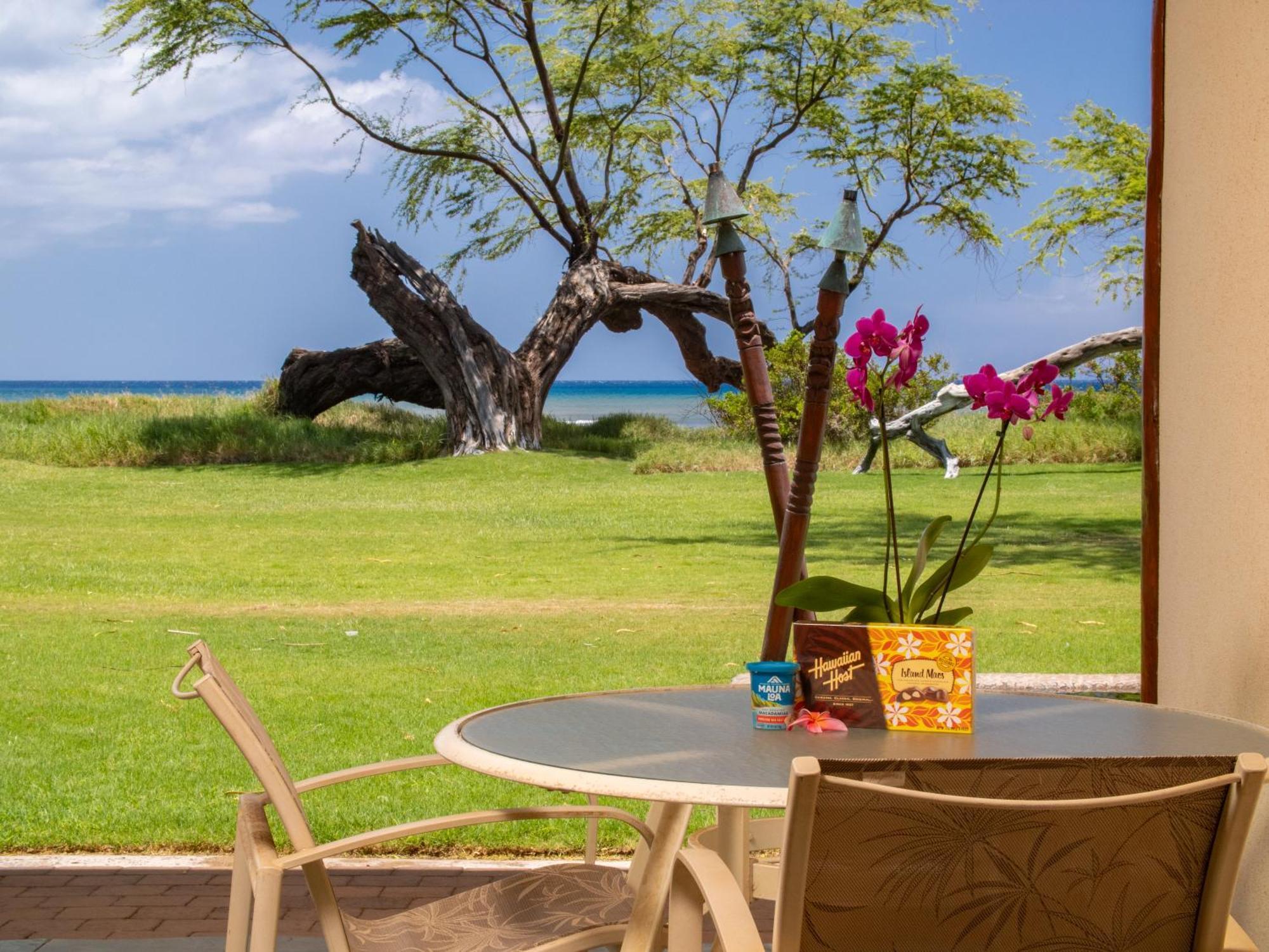 Aloha Aku Hula2 - Experience Beachfront Bliss Apartment Kihei