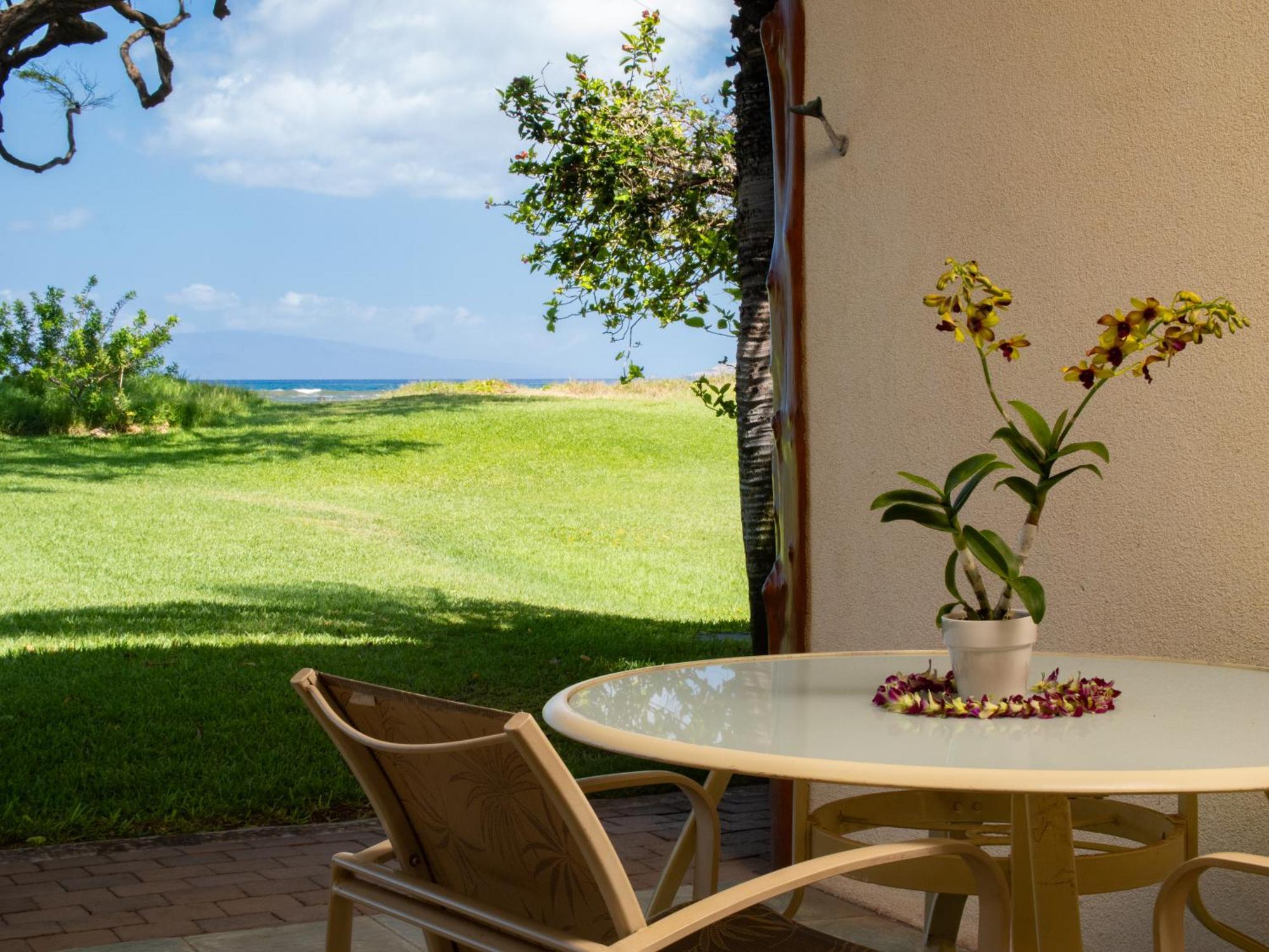 Aloha Aku Cocopalm2 - Your Cozy Beachfront Escape Apartment