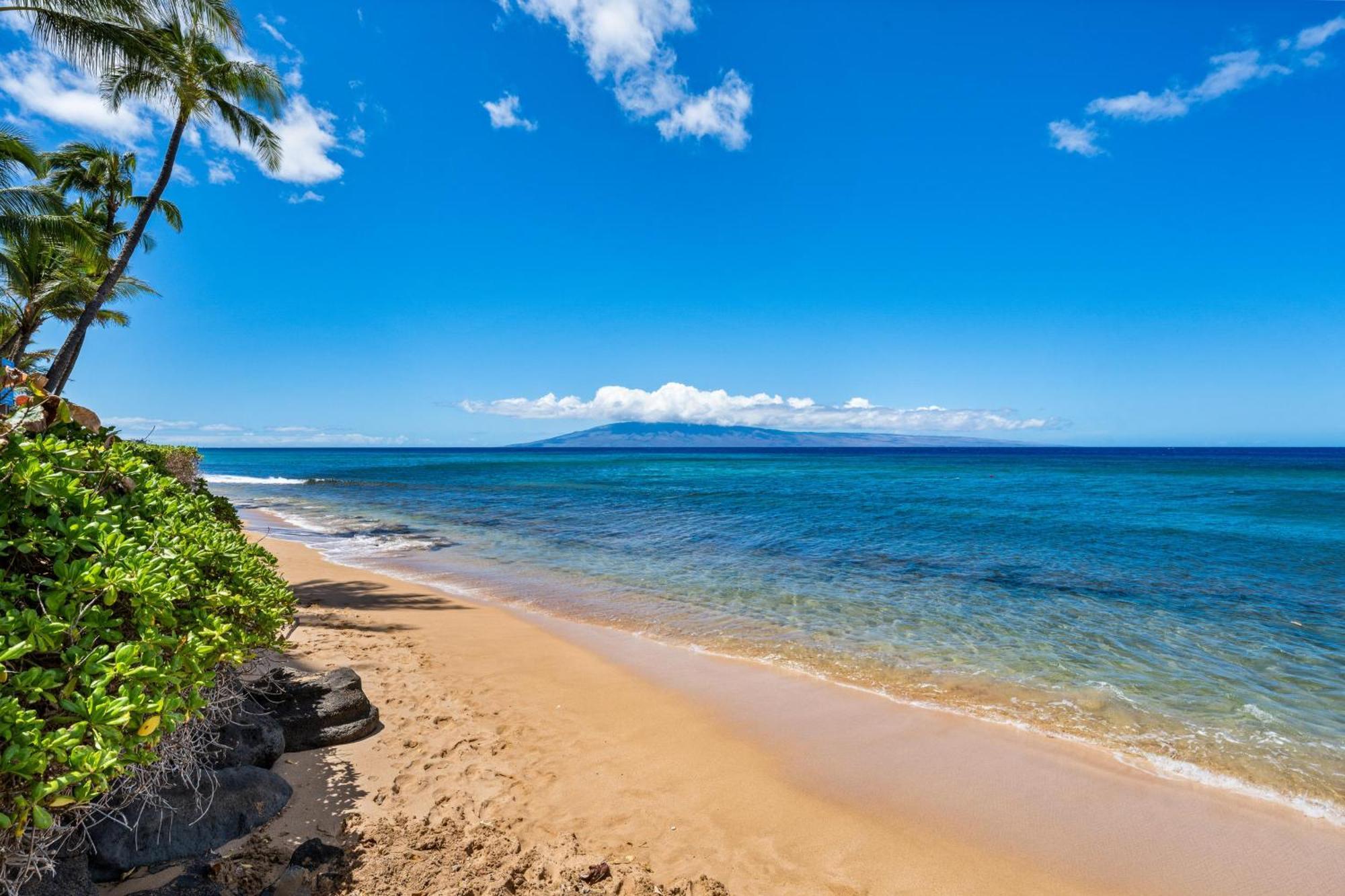 Maui Kai 808