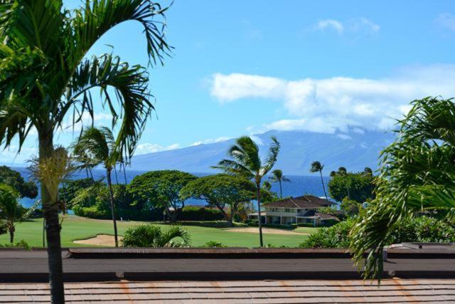 Maui Eldorado K207