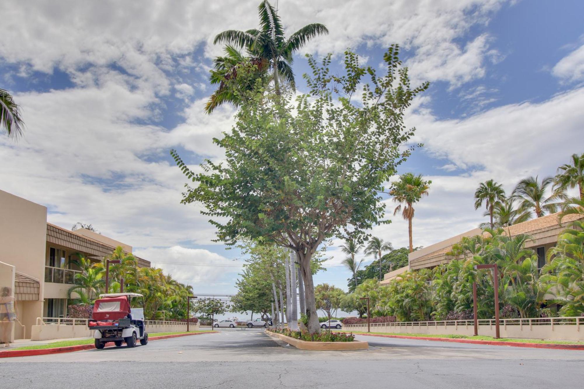 Apartment Kihei Retreat With Pool Access, Walk To Shore! *
