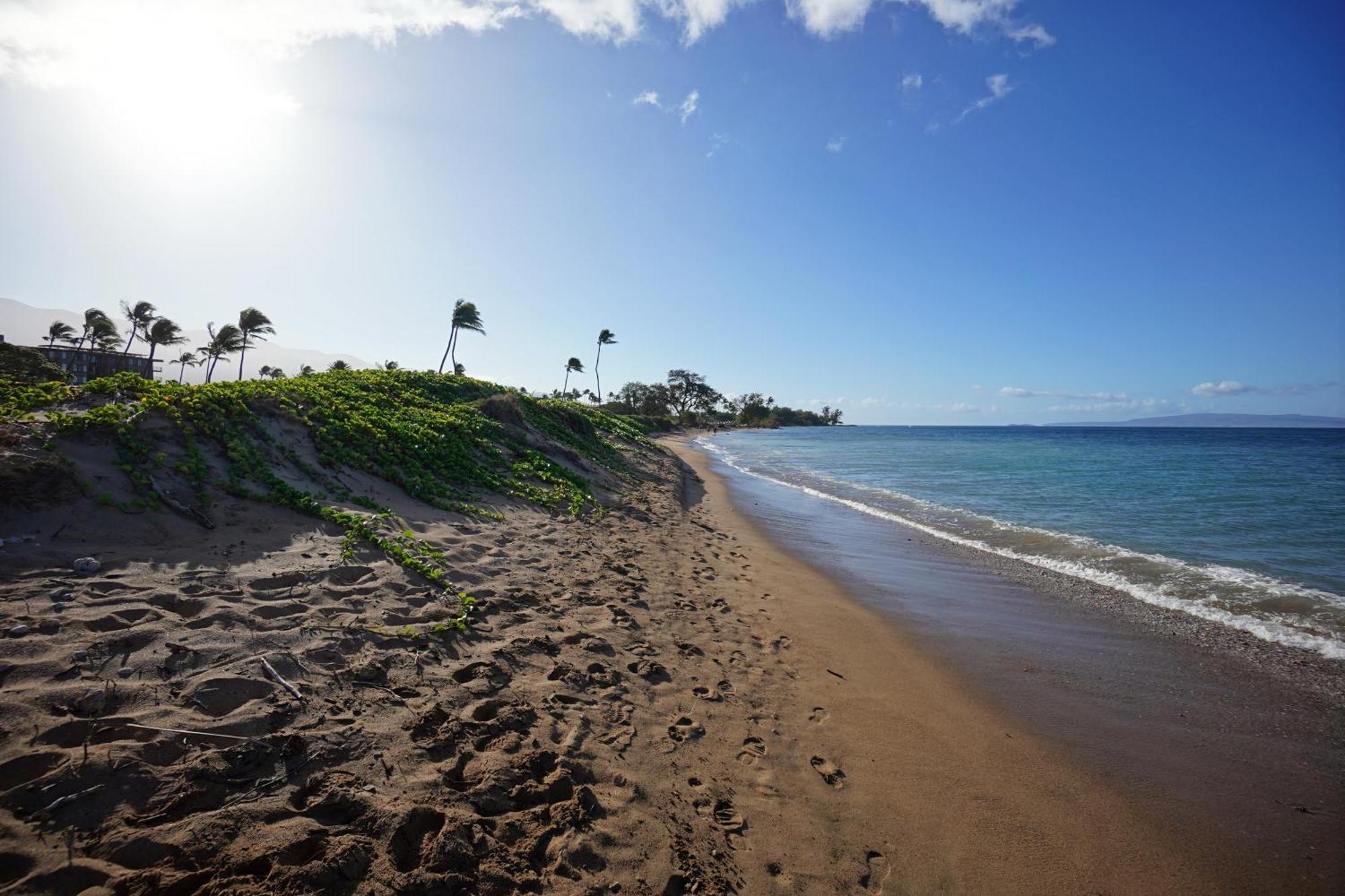 Family Friendly Ocean View In Kihei! Kihei