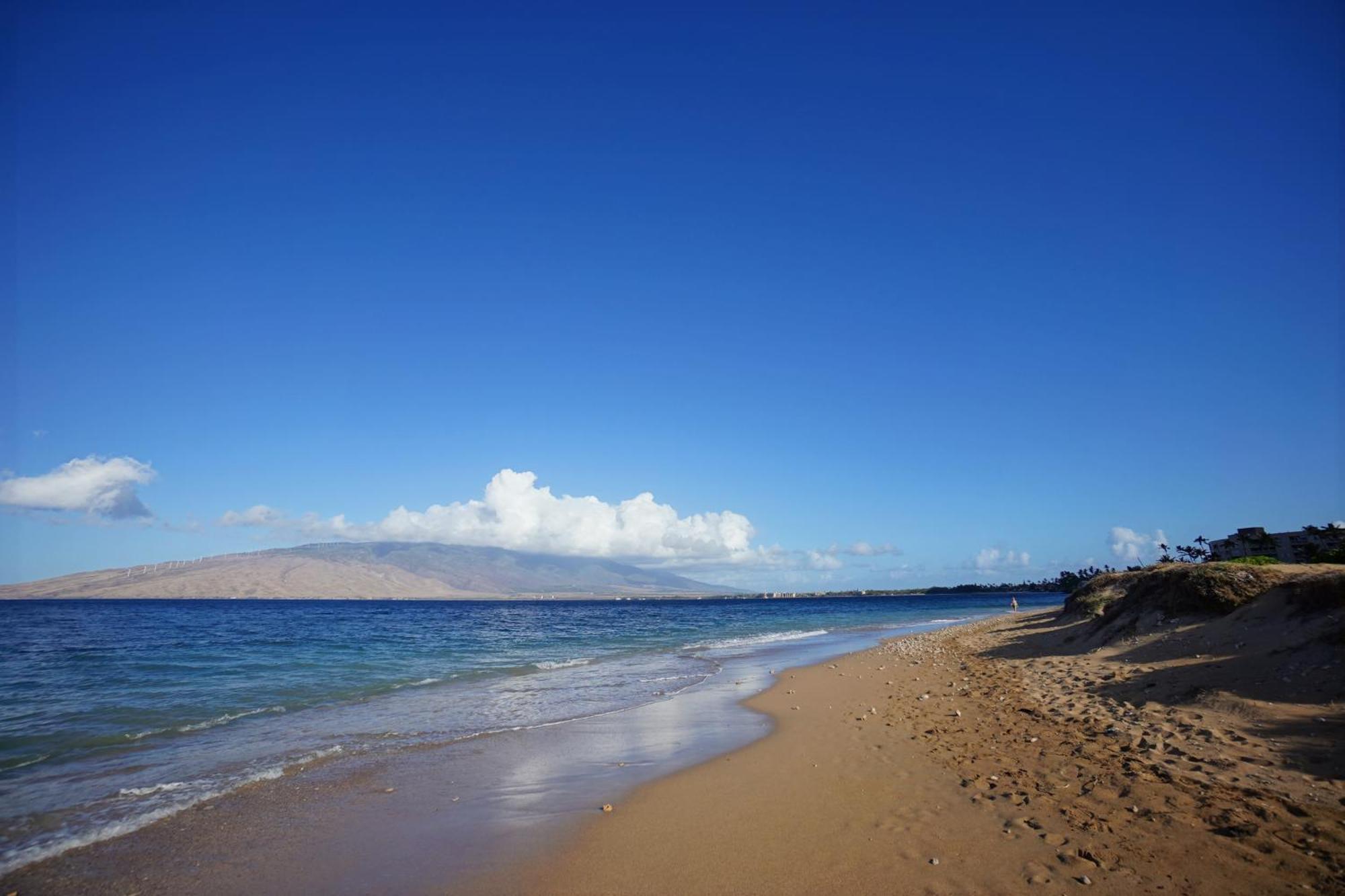 Family Friendly Ocean View In Kihei! Holiday home *