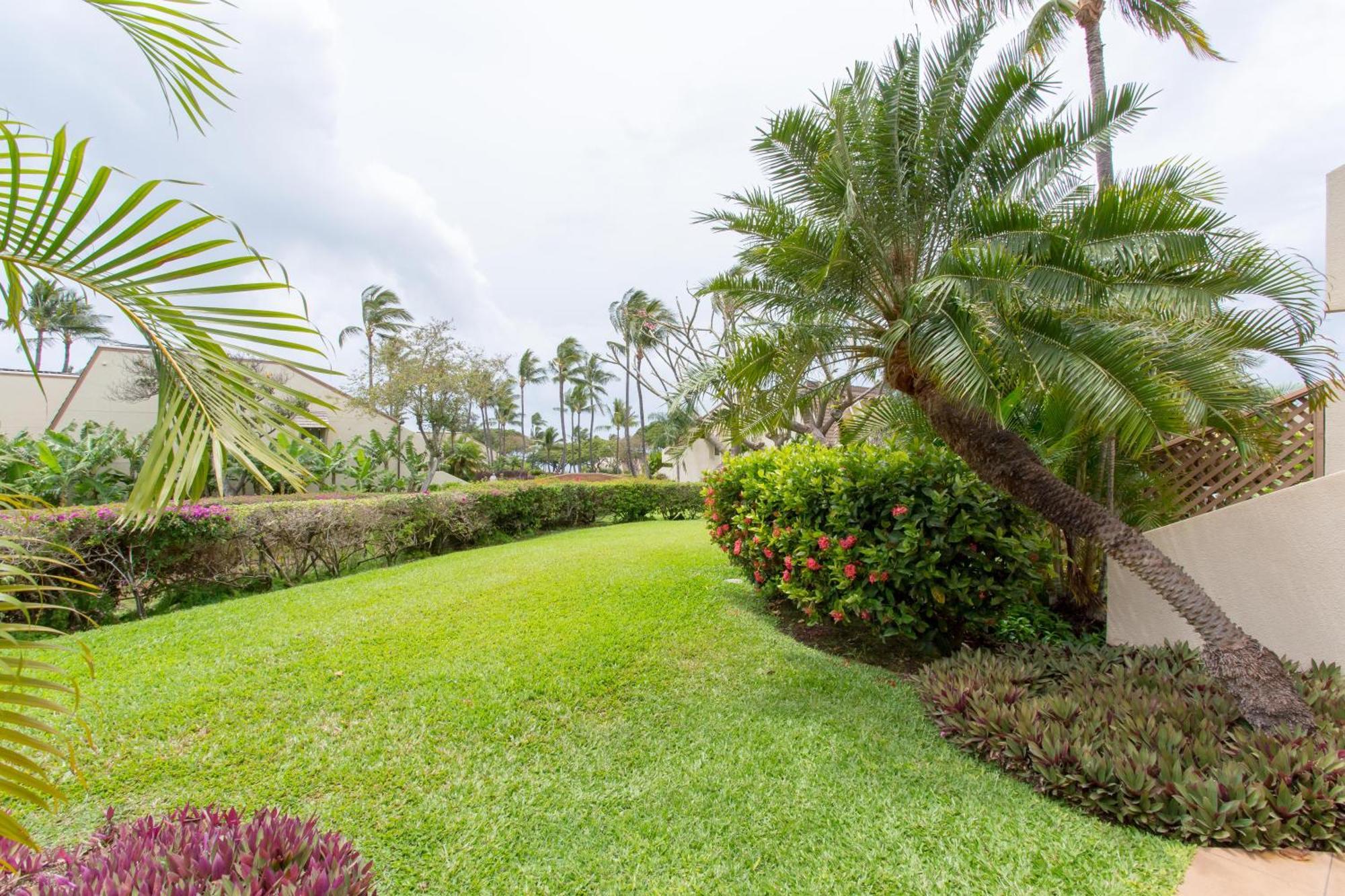 Apartment Maui Kamaole F-204 Wailea (Maui)
