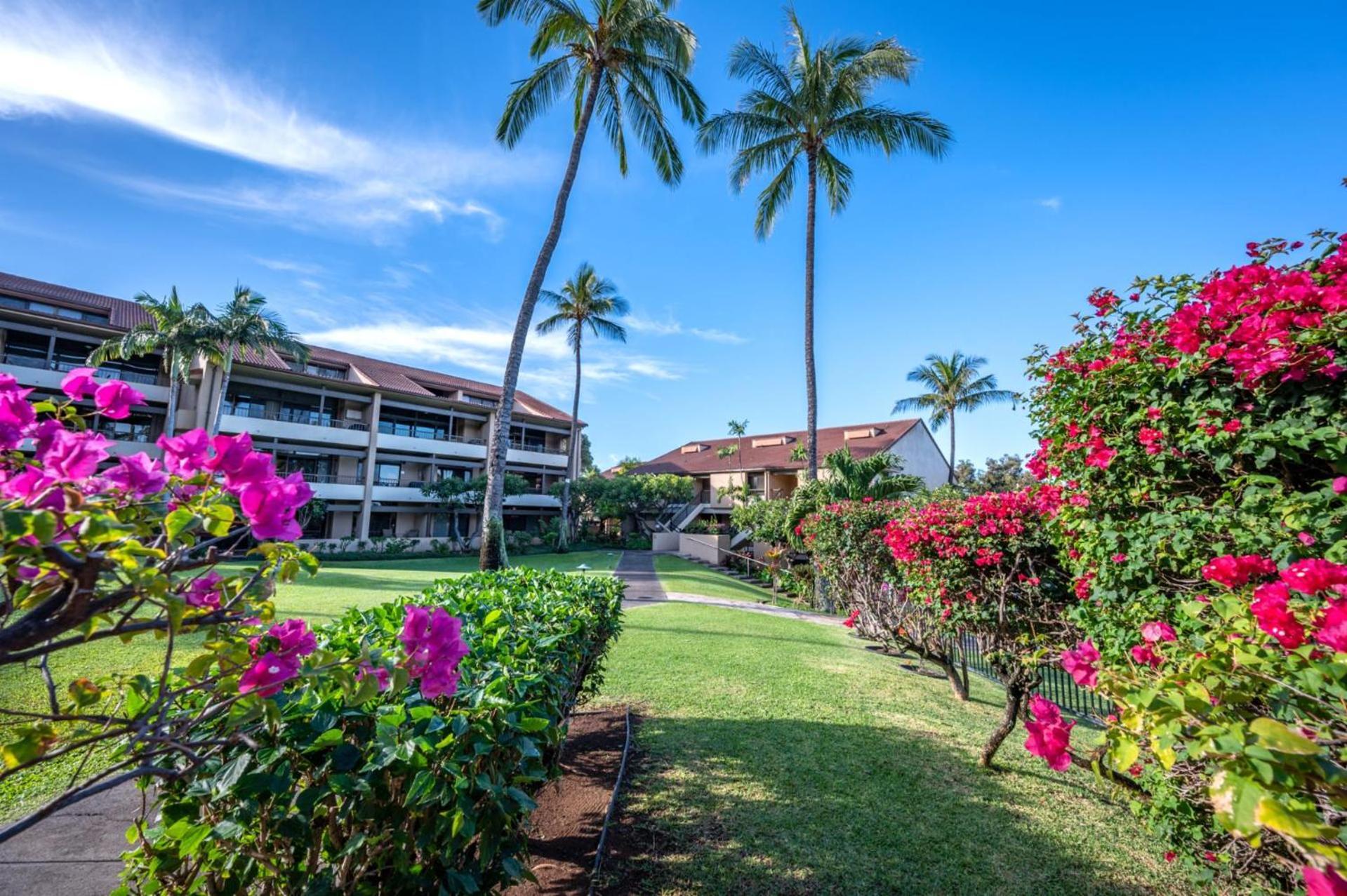 Kbm Free Car Royal Kro-g201 Island Inspired Gem Apartment Kaanapali