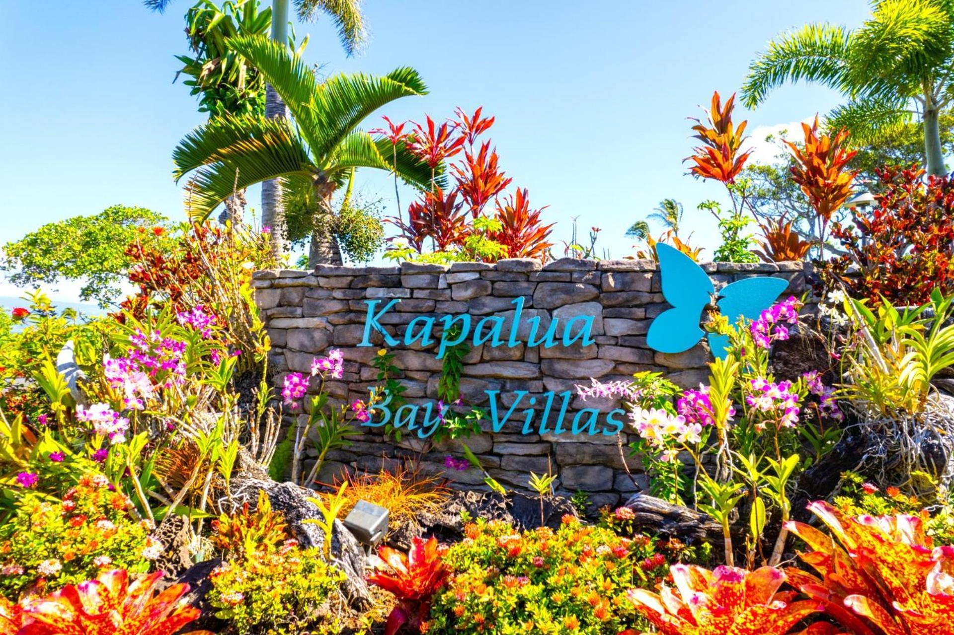 Kbm Free Car Bay Kbv-37b3 Beautifully Remodeled Ocean View Apartment *