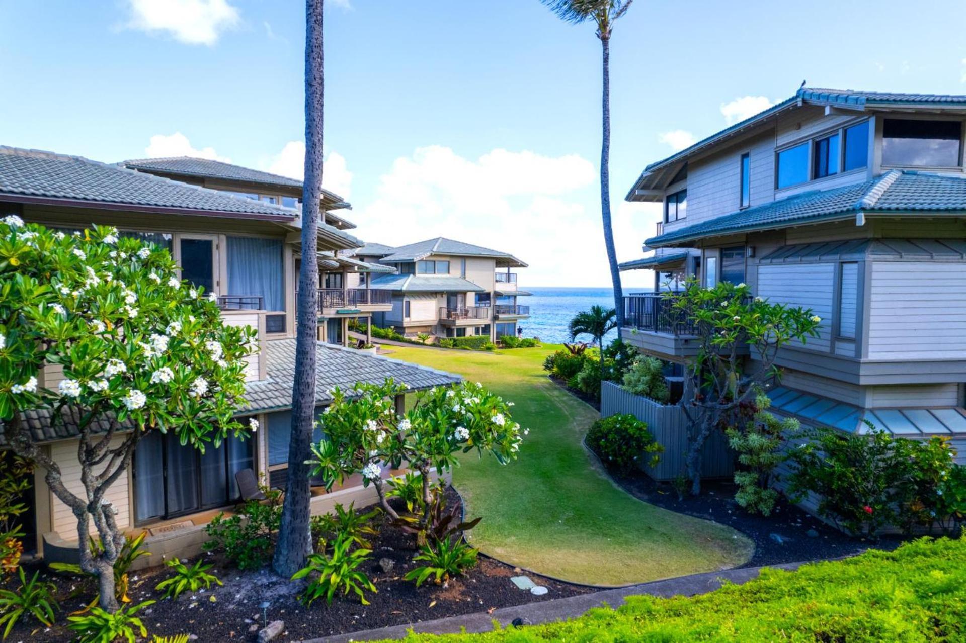 Apartment Kbm Free Car Bay Kbv-37b3 Beautifully Remodeled Ocean View Kapalua