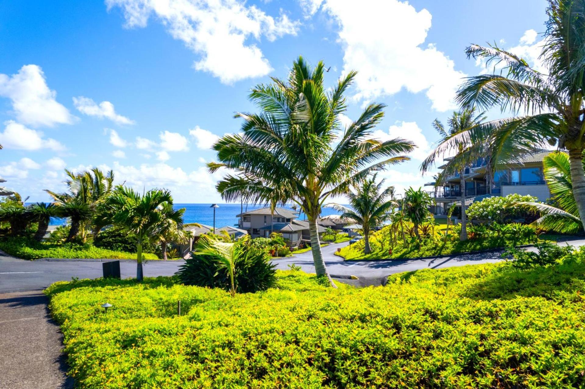 Kbm Free Car Bay Kbv-37b3 Beautifully Remodeled Ocean View *