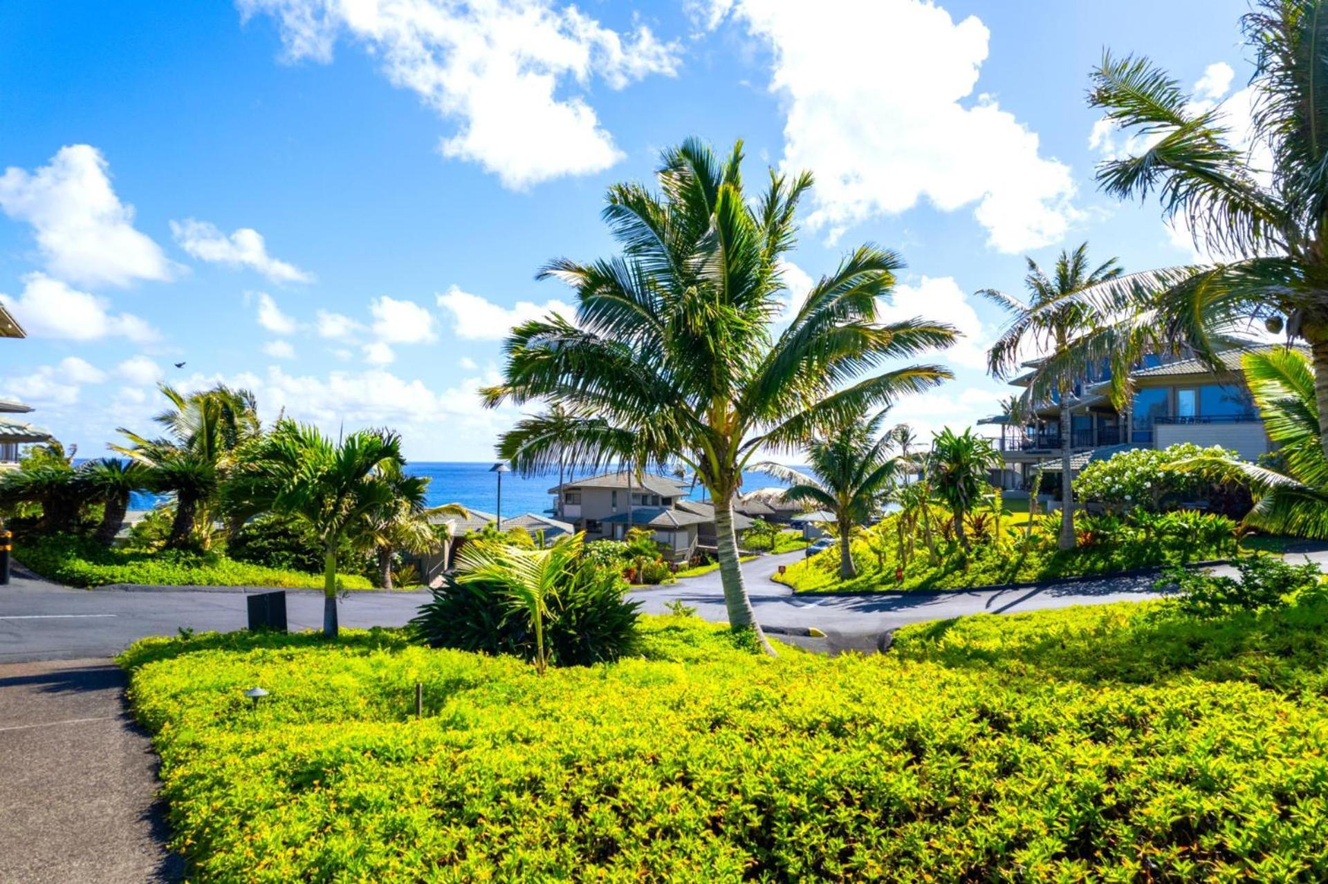Kbm Free Car Bay Kbv-37b3 Beautifully Remodeled Ocean View * Kapalua
