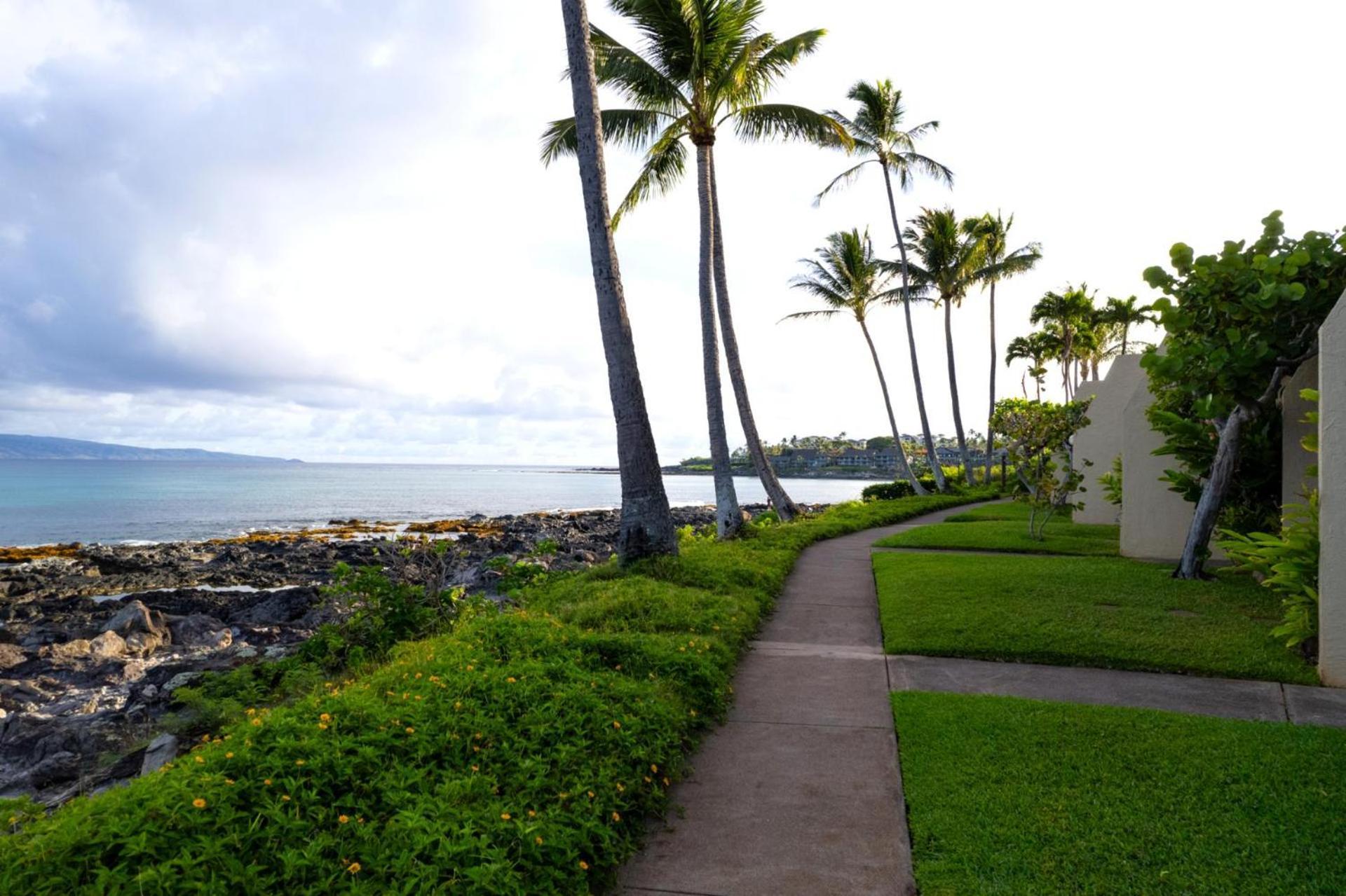 Apartment Kbm Free Car Napili Point Nap-c18 Ocean Front Spacious Kapalua