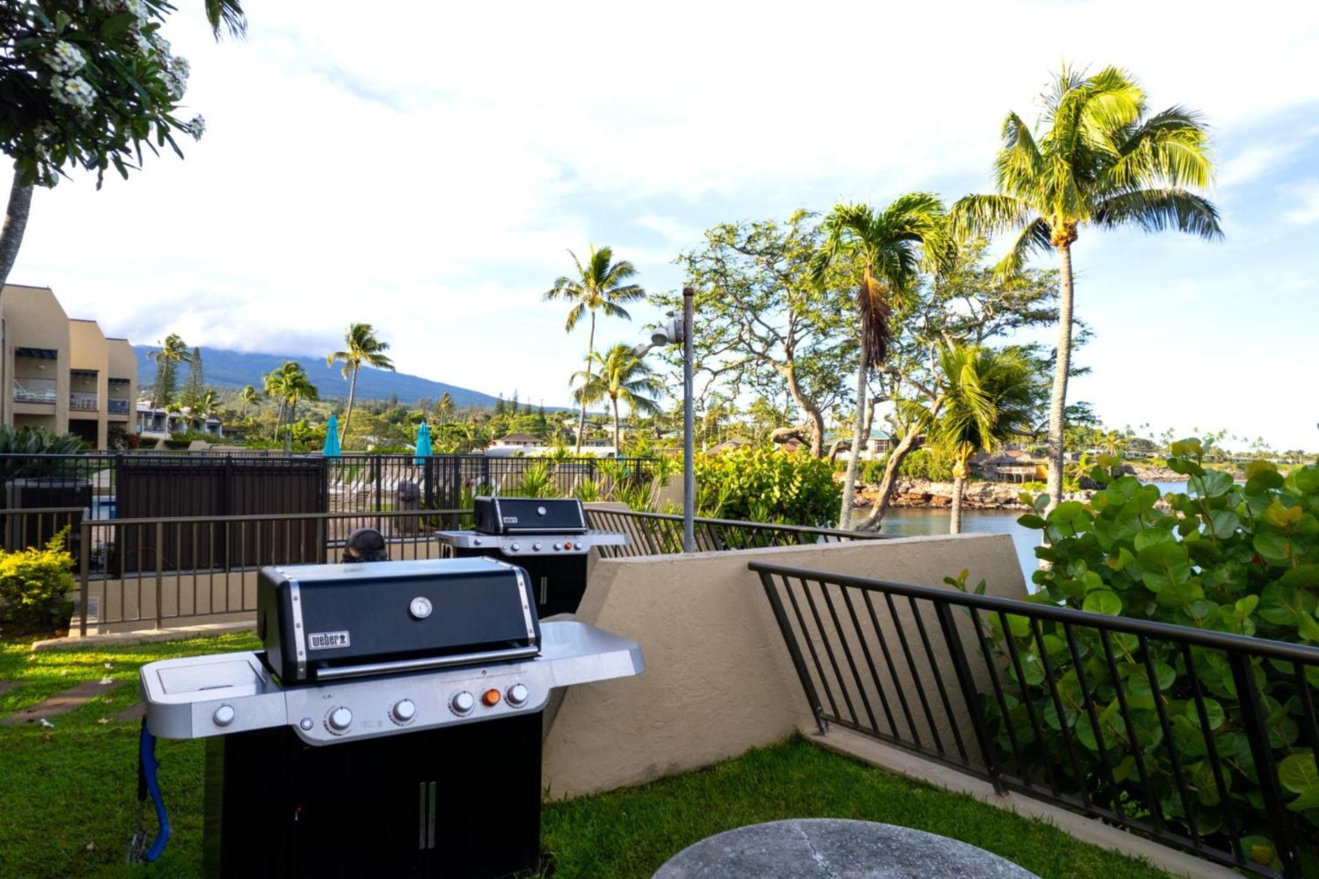 Kbm Free Car Napili Point Nap-c18 Ocean Front Spacious Kapalua