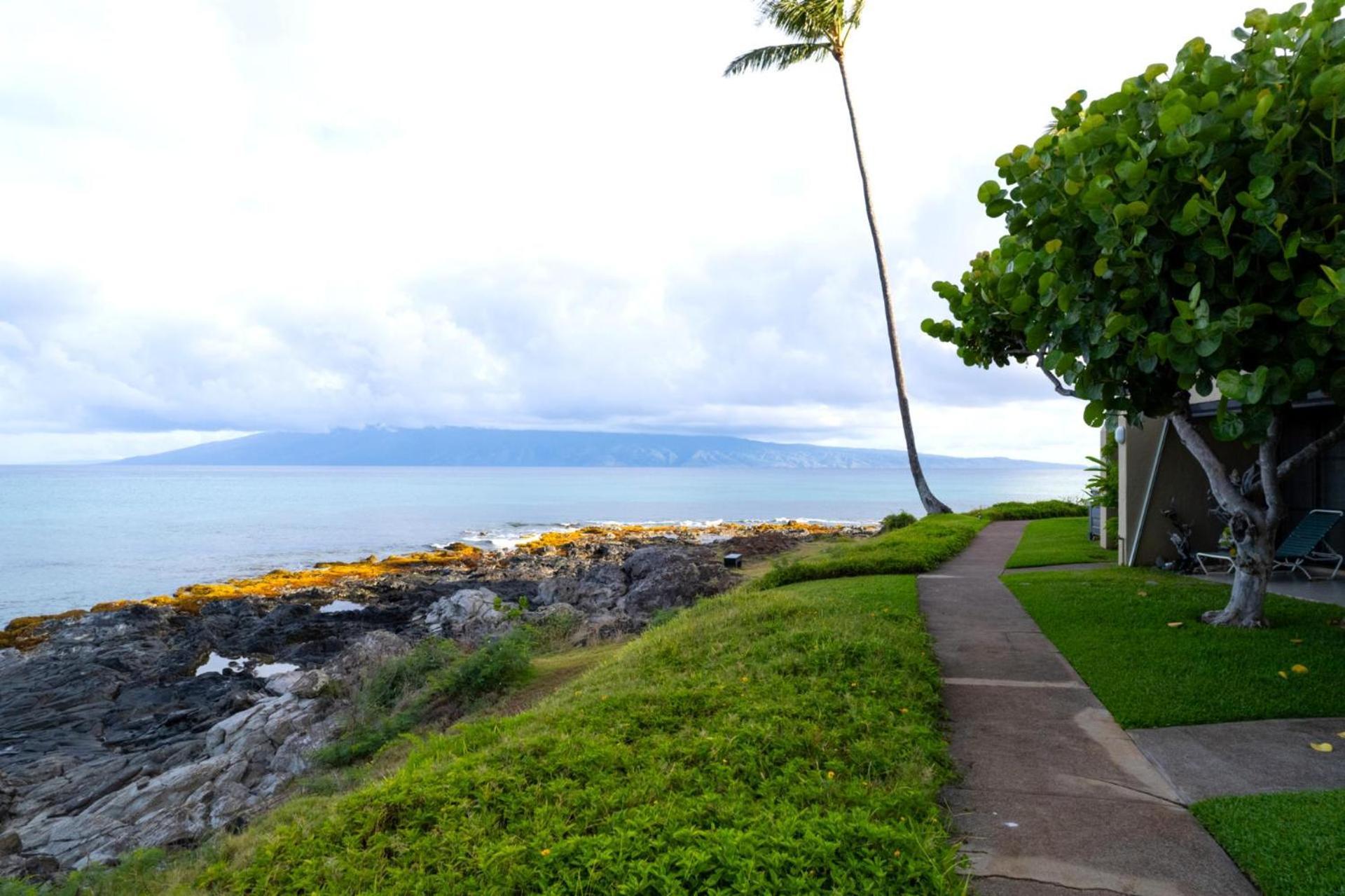 Kbm Free Car Napili Point Nap-c18 Ocean Front Spacious Apartment *
