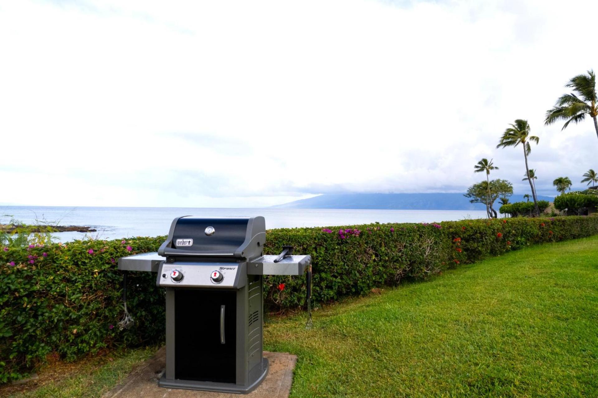 Kbm Free Car Napili Point Nap-c18 Ocean Front Spacious Apartment
