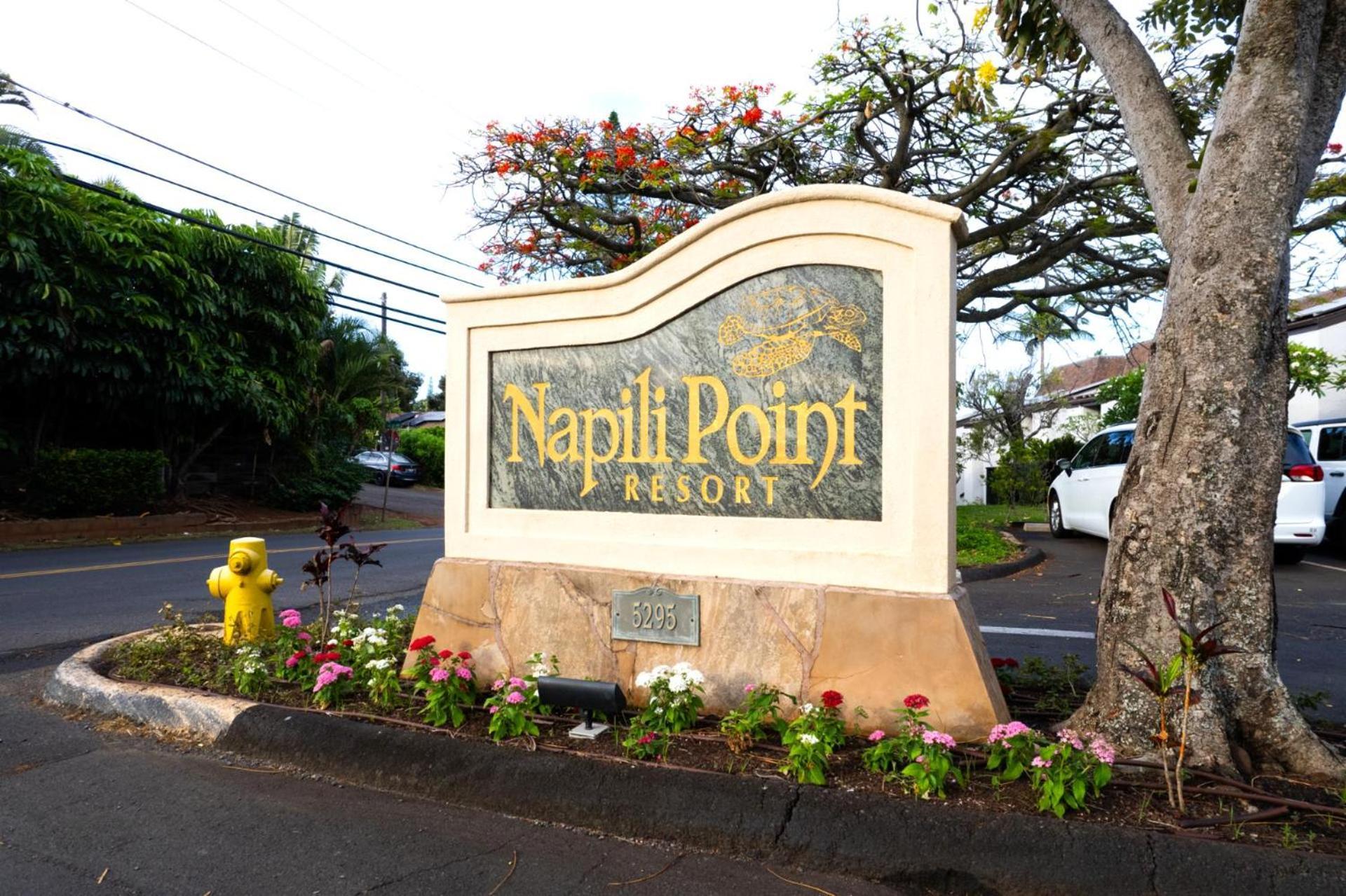 Kbm Free Car Napili Point Nap-c18 Ocean Front Spacious * Kapalua