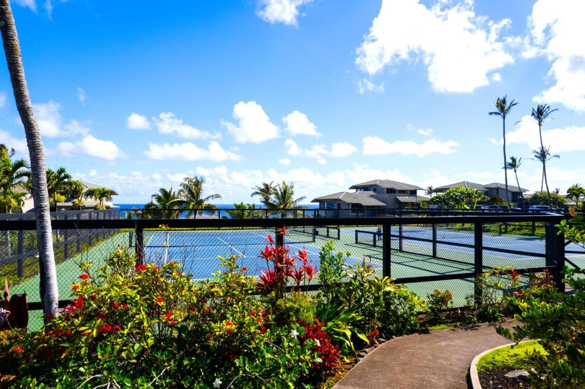Apartment Kbm Free Car Bay Kbv-14g4 Sweeping Ocean Views Walk To *