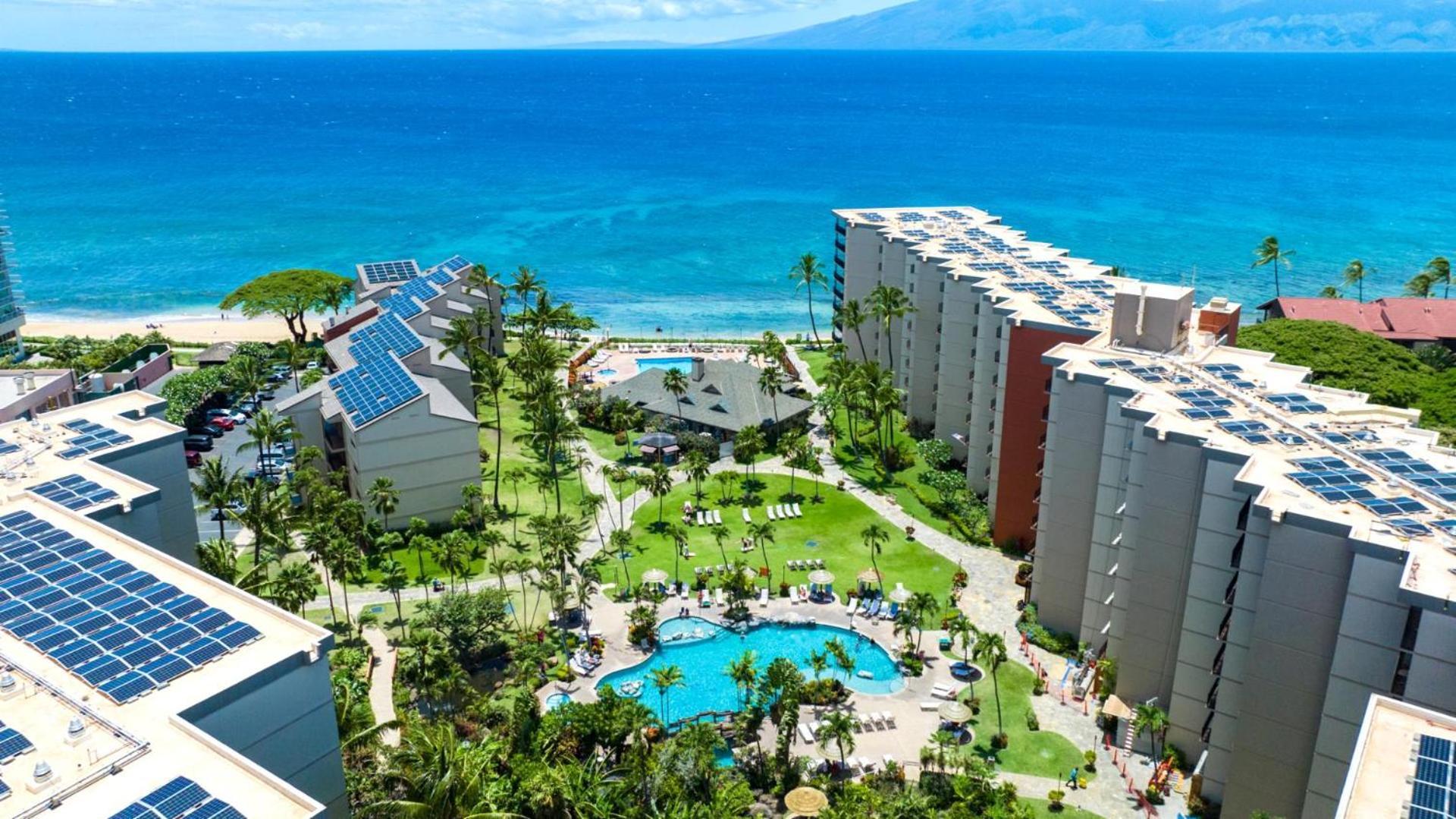 Kbm Free Car Shores Ks-155 Ground Floor Steps To Pool And Apartment Kaanapali