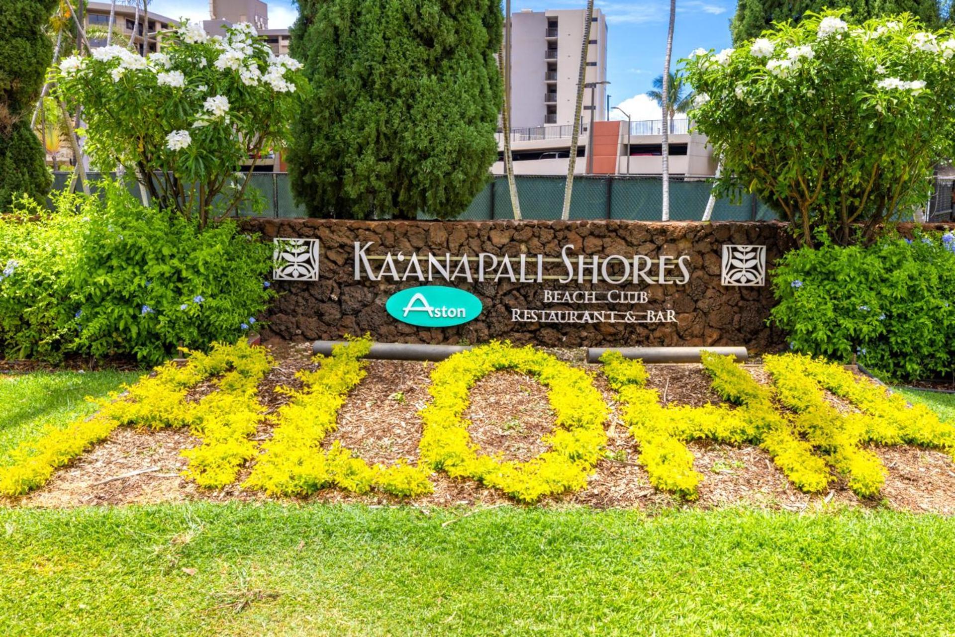 Apartment Kbm Free Car Shores Ks-155 Ground Floor Steps To Pool And Kaanapali