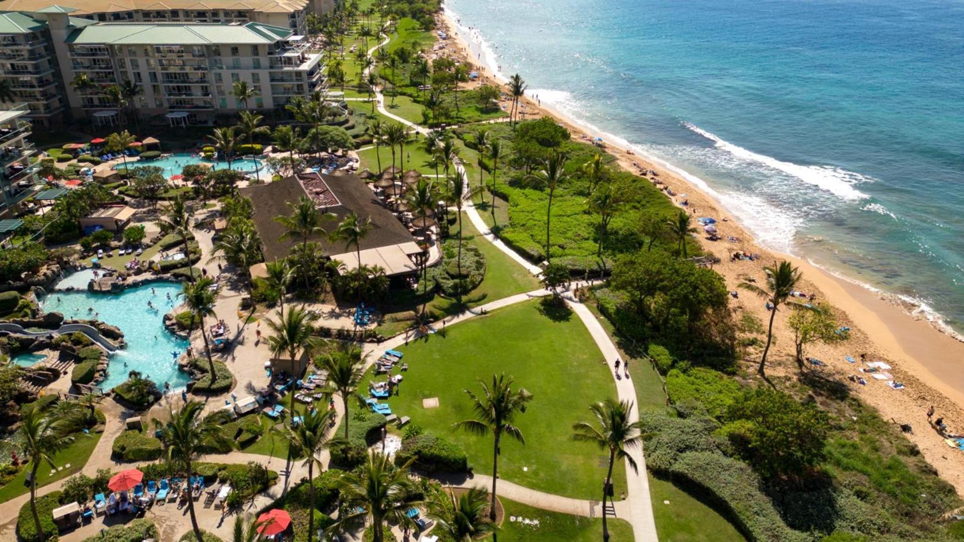 Kbm Free Car Honua Kai Konea Hkk-209 Ocean Views Great For Families *