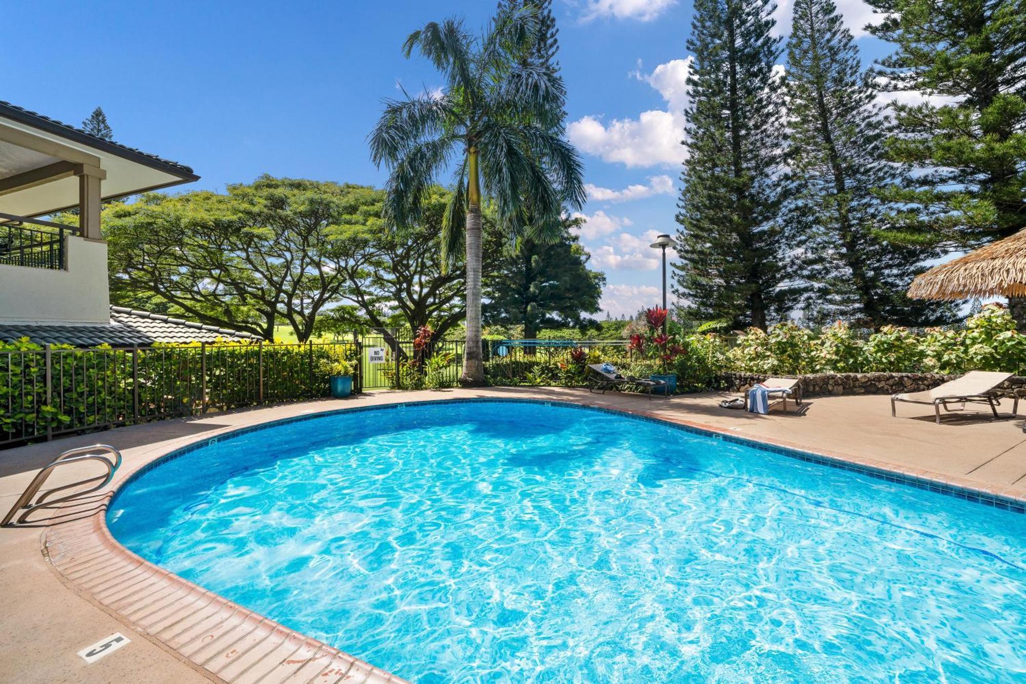 Holiday home Kapalua Golf 17t8