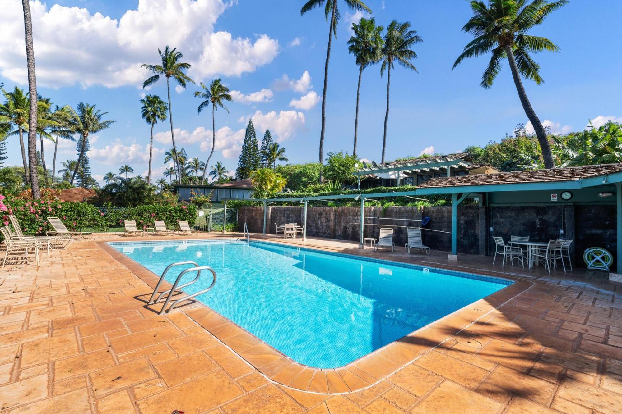 International Colony Club 37