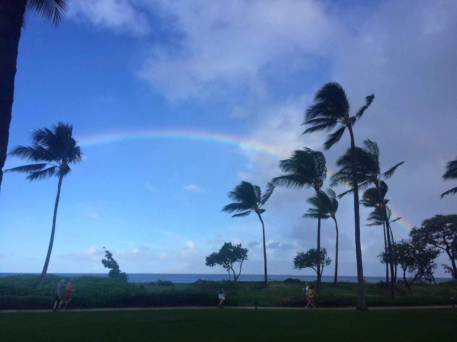 Papakea E204 Kahana