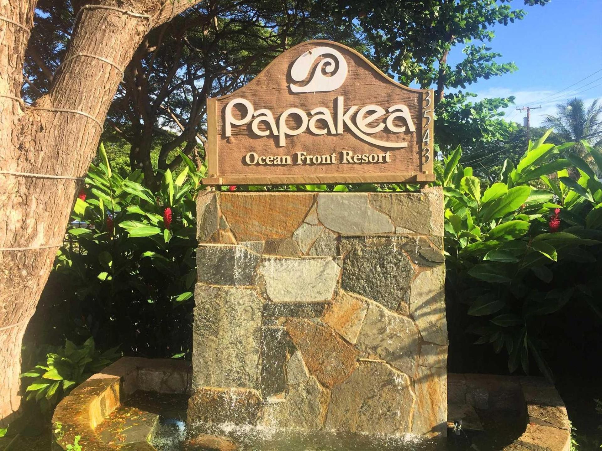 Papakea E204 Kahana