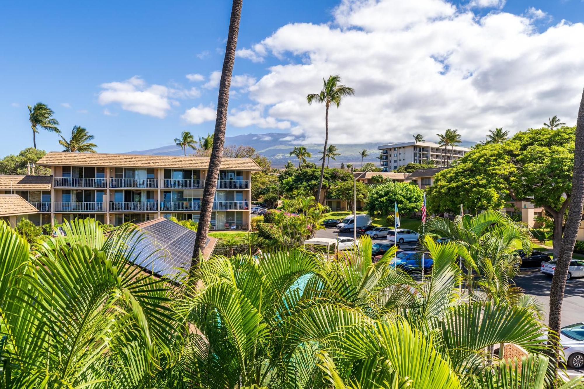 Ocean View, Great Location, Across From Kamaole 2 Lsv13