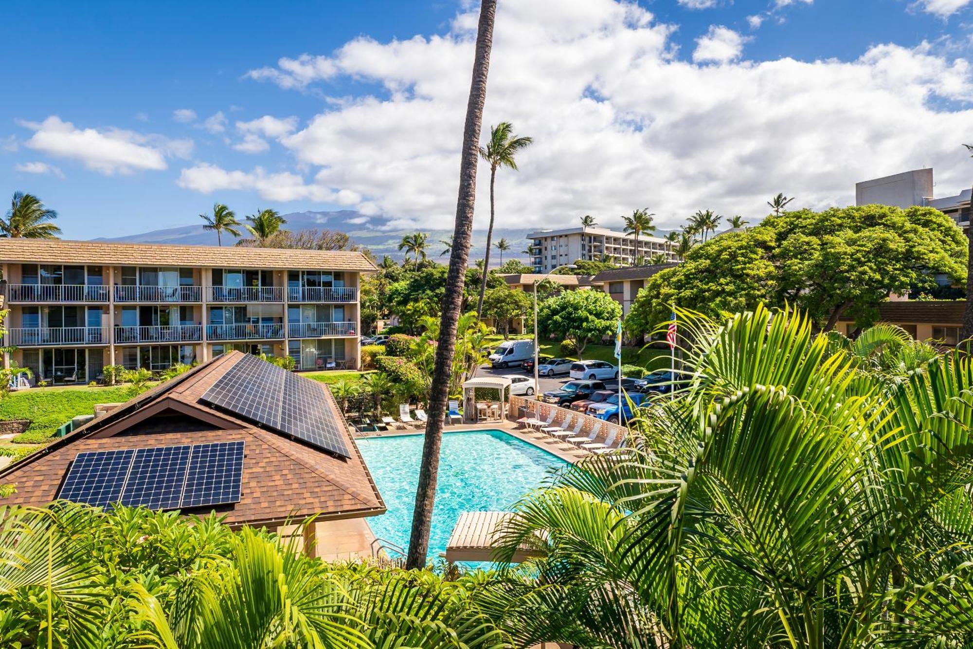 Apartment Ocean View, Great Location, Across From Kamaole 2 Lsv13