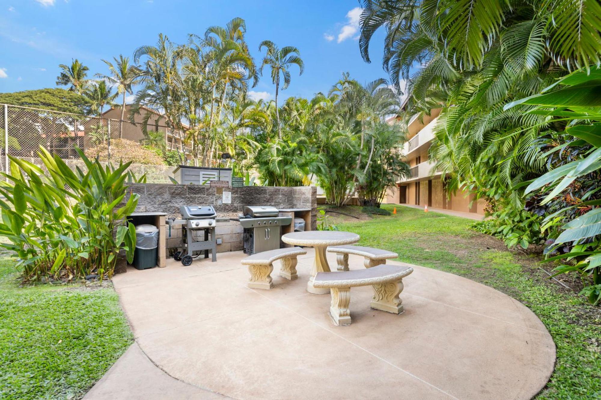 Cute Ocean View Condo, Walk To Lsv03 Kihei