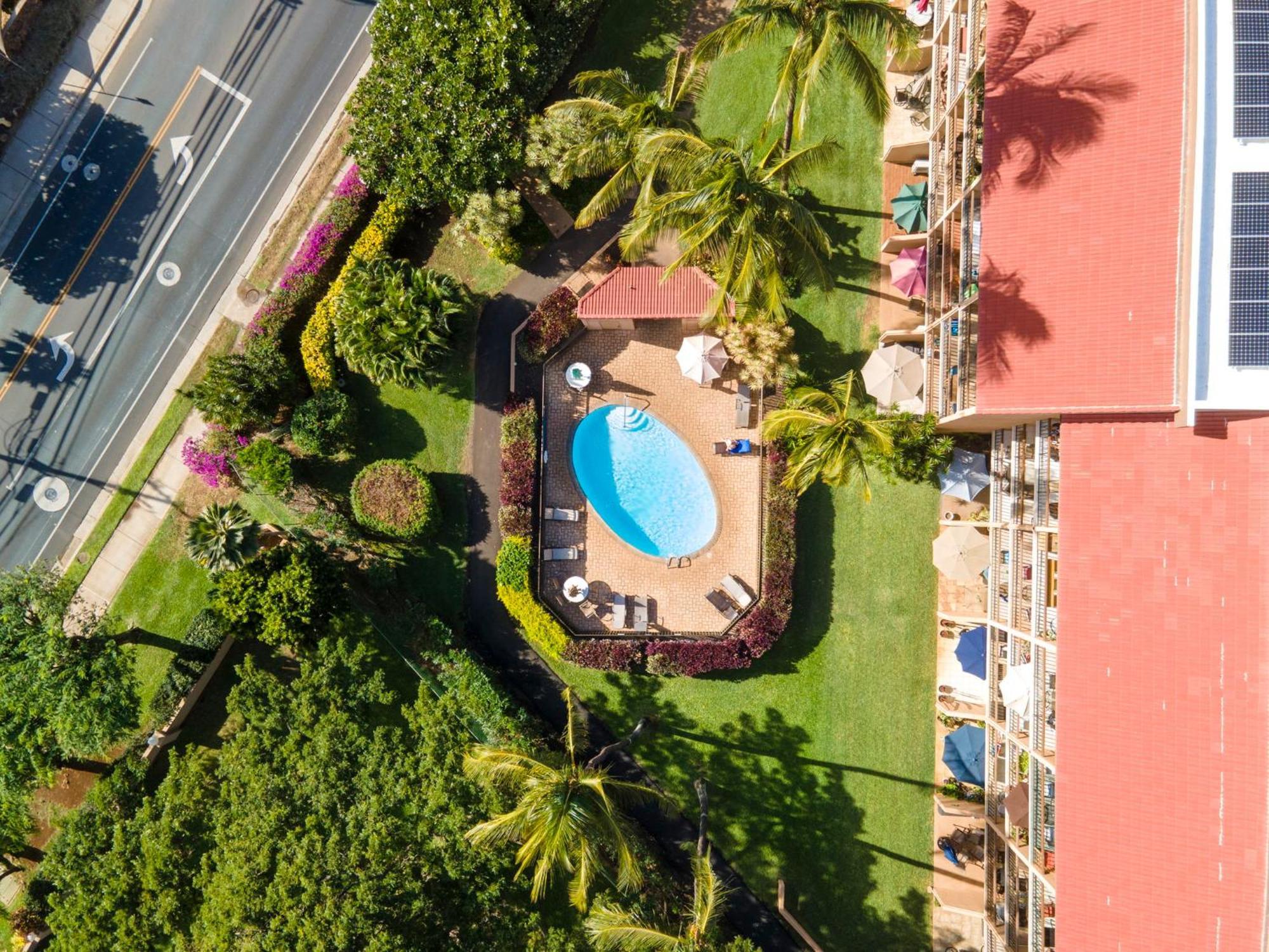 Cute Ocean View Condo, Walk To Lsv03 Apartment *