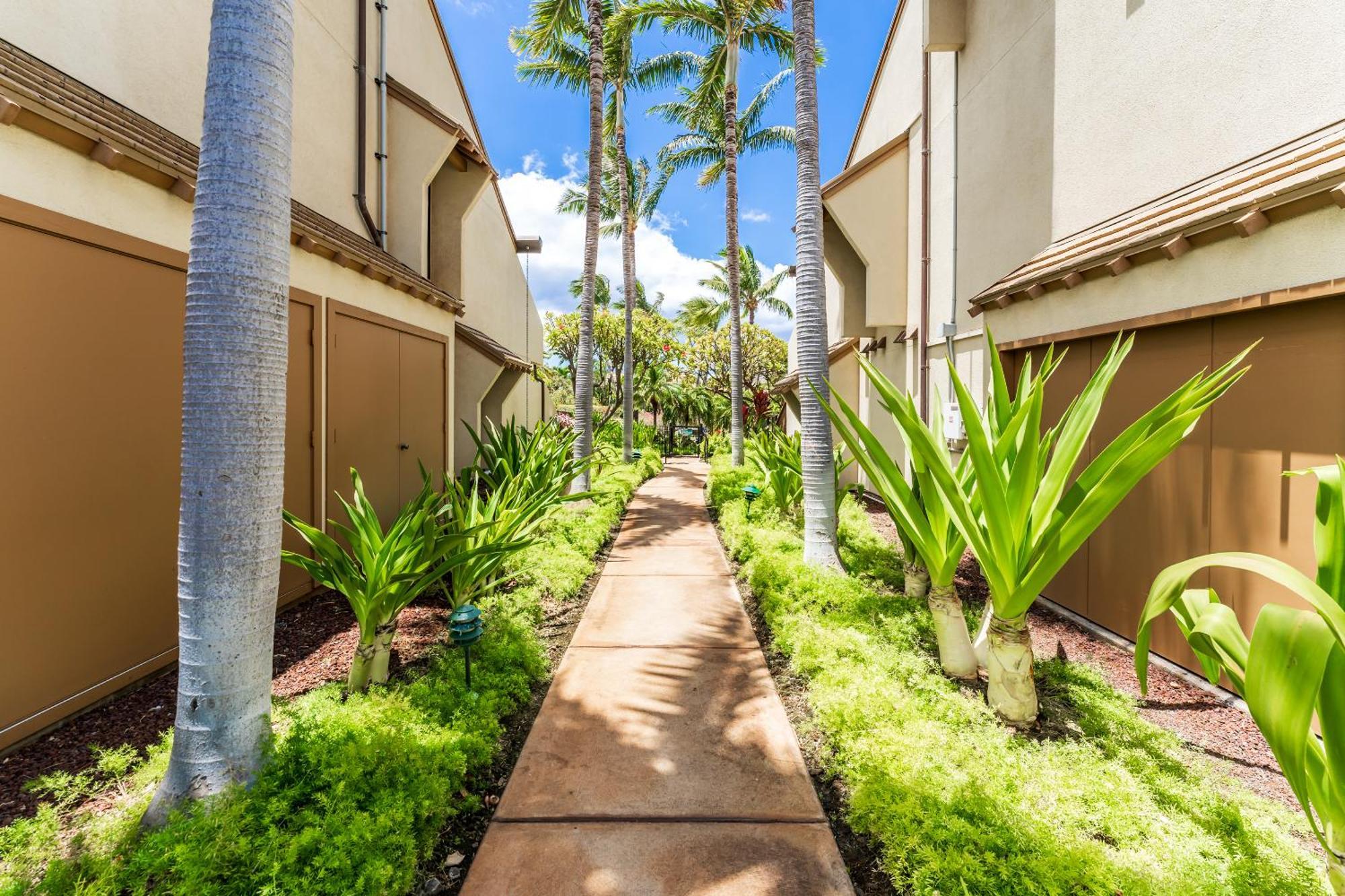 New Luxury, Family 2-2, Walk To Beach, Ocean View Lsv12 Apartment