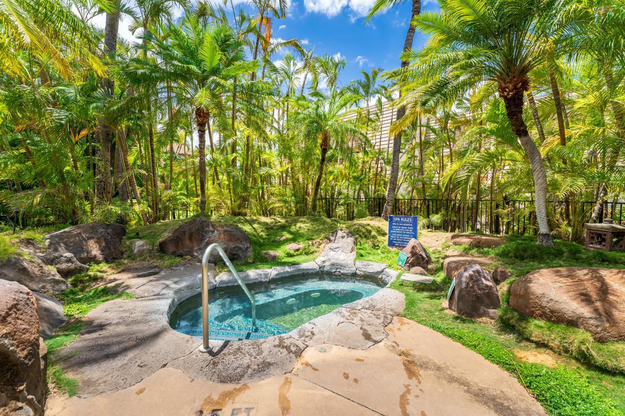New Luxury, Family 2-2, Walk To Beach, Ocean View Lsv12 * Wailea (Maui)
