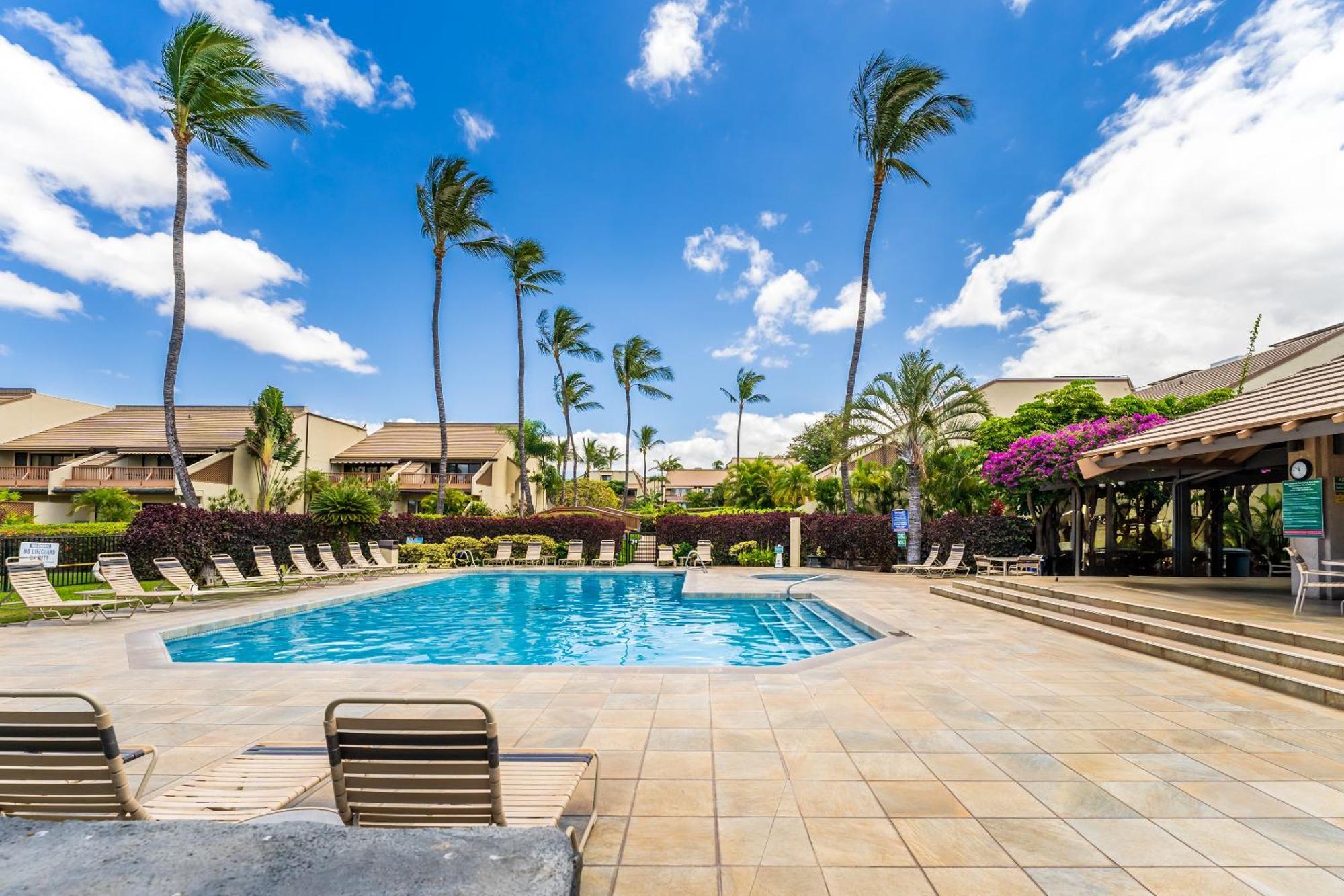 New Luxury, Family 2-2, Walk To Beach, Ocean View Lsv12 Apartment