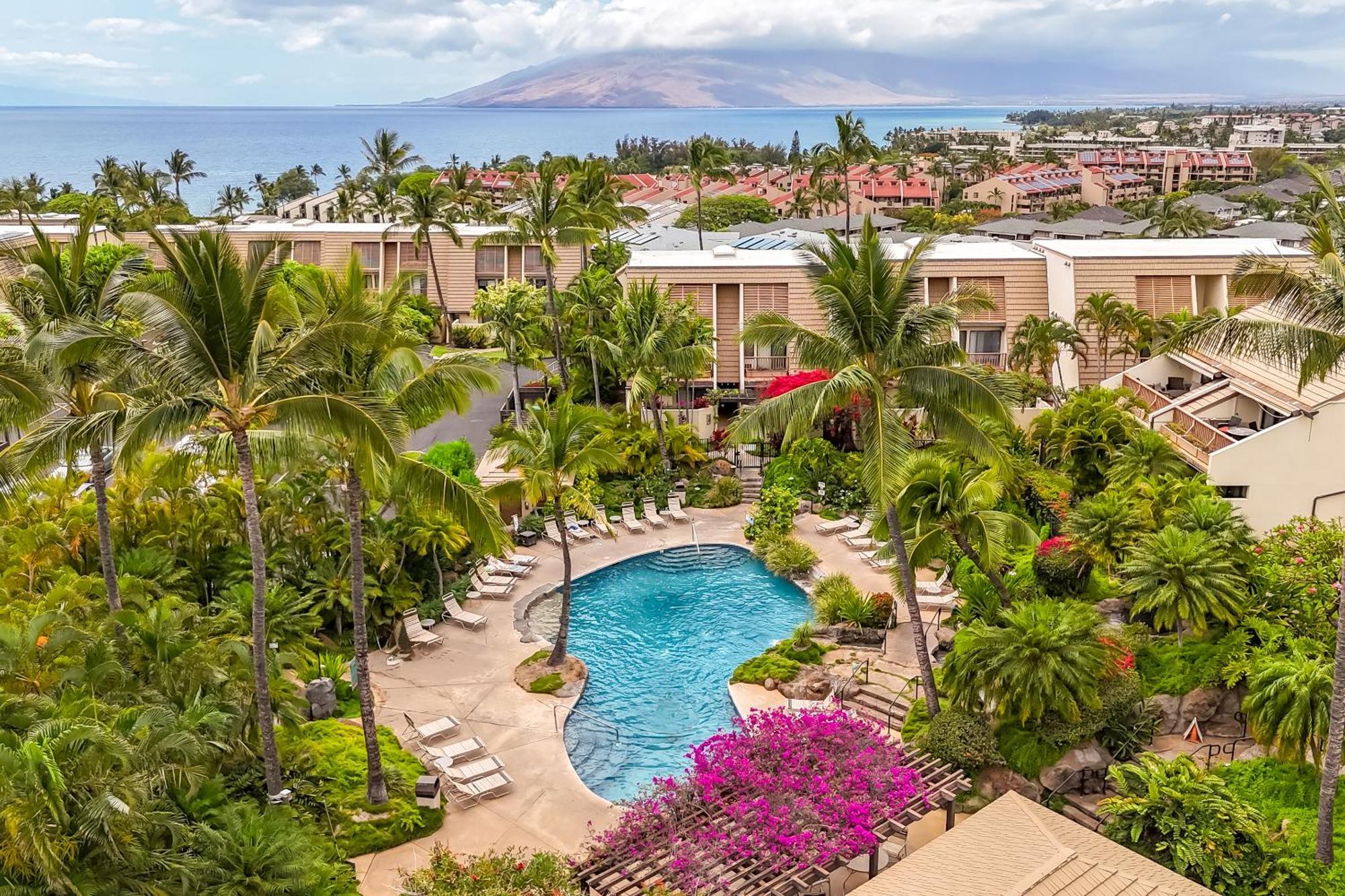 Apartment New Luxury, Family 2-2, Walk To Beach, Ocean View Lsv12