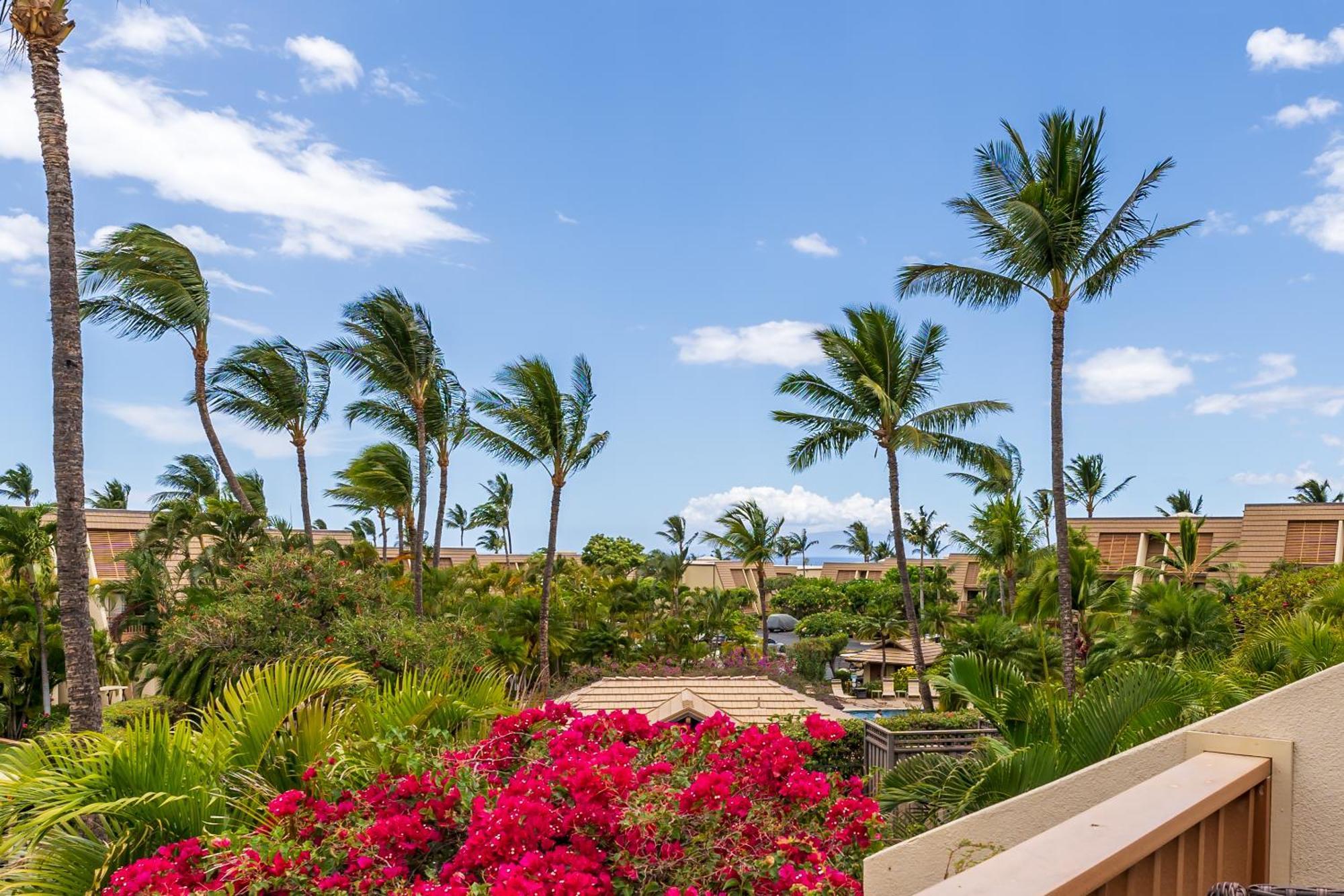New Luxury, Family 2-2, Walk To Beach, Ocean View Lsv12