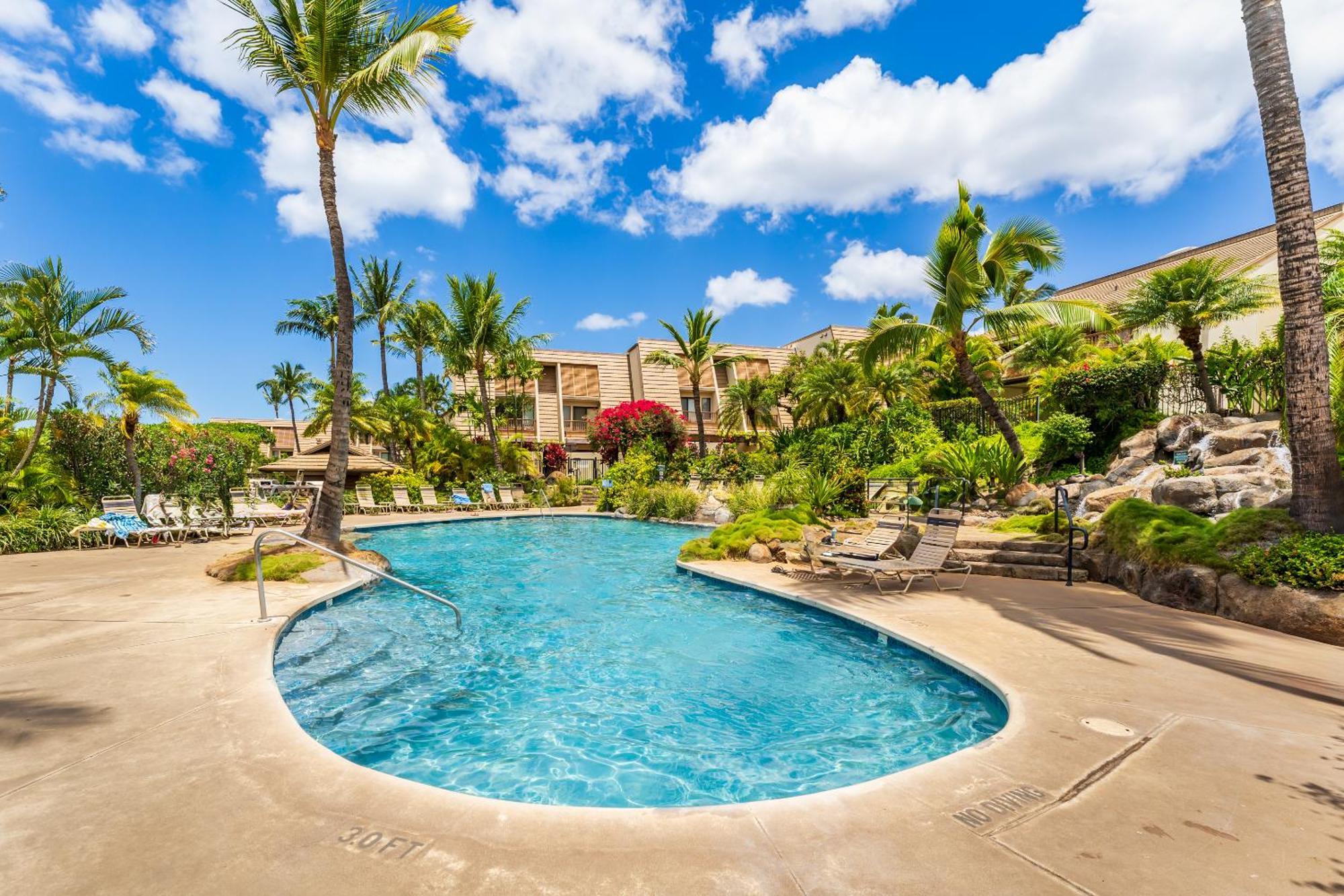Apartment New Luxury, Family 2-2, Walk To Beach, Ocean View Lsv12