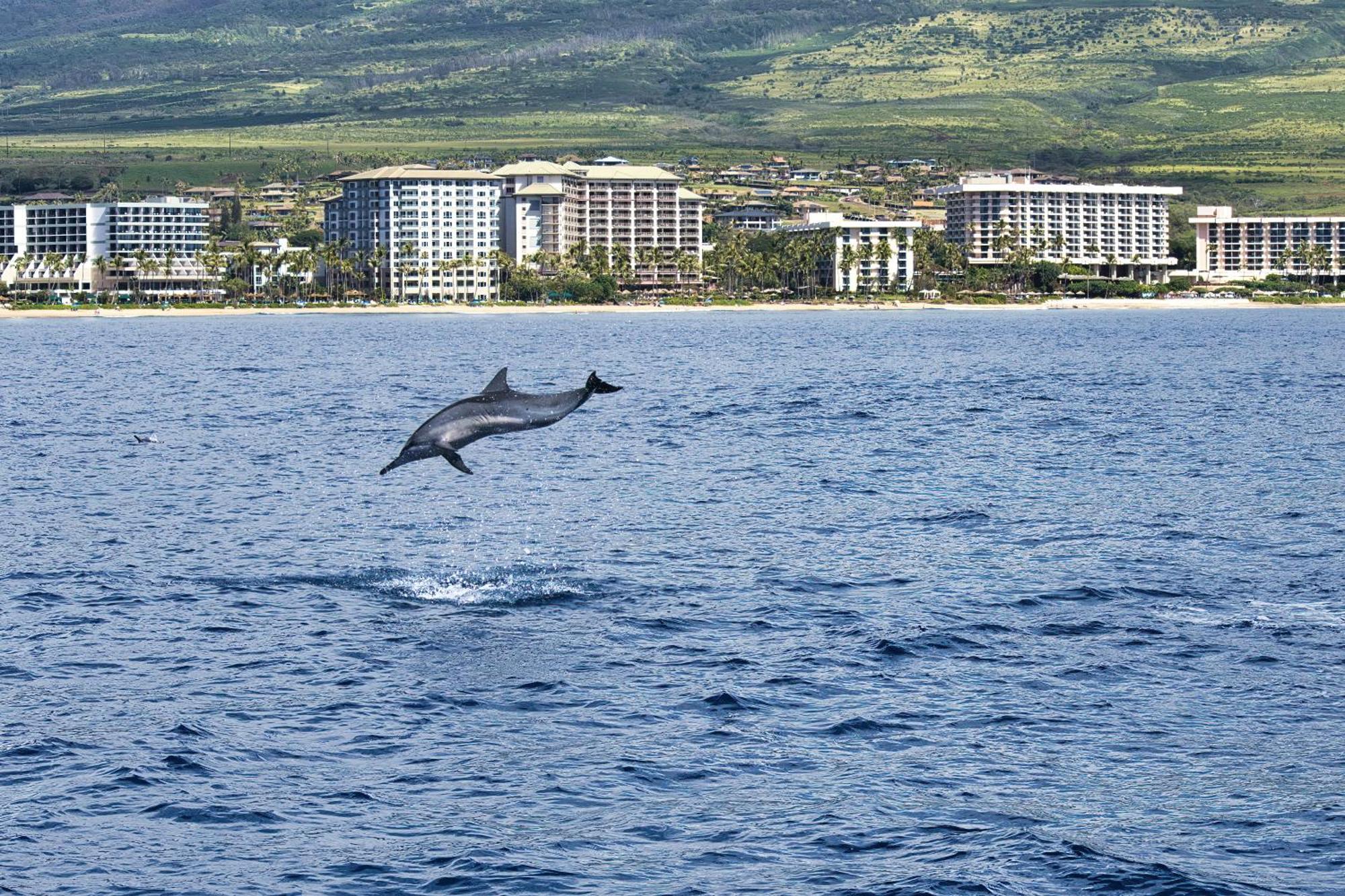 Holiday home Oceanfront Views Above Dukes - Wrap Around Lanai - Outdoor Kitchen Honua Kai H351