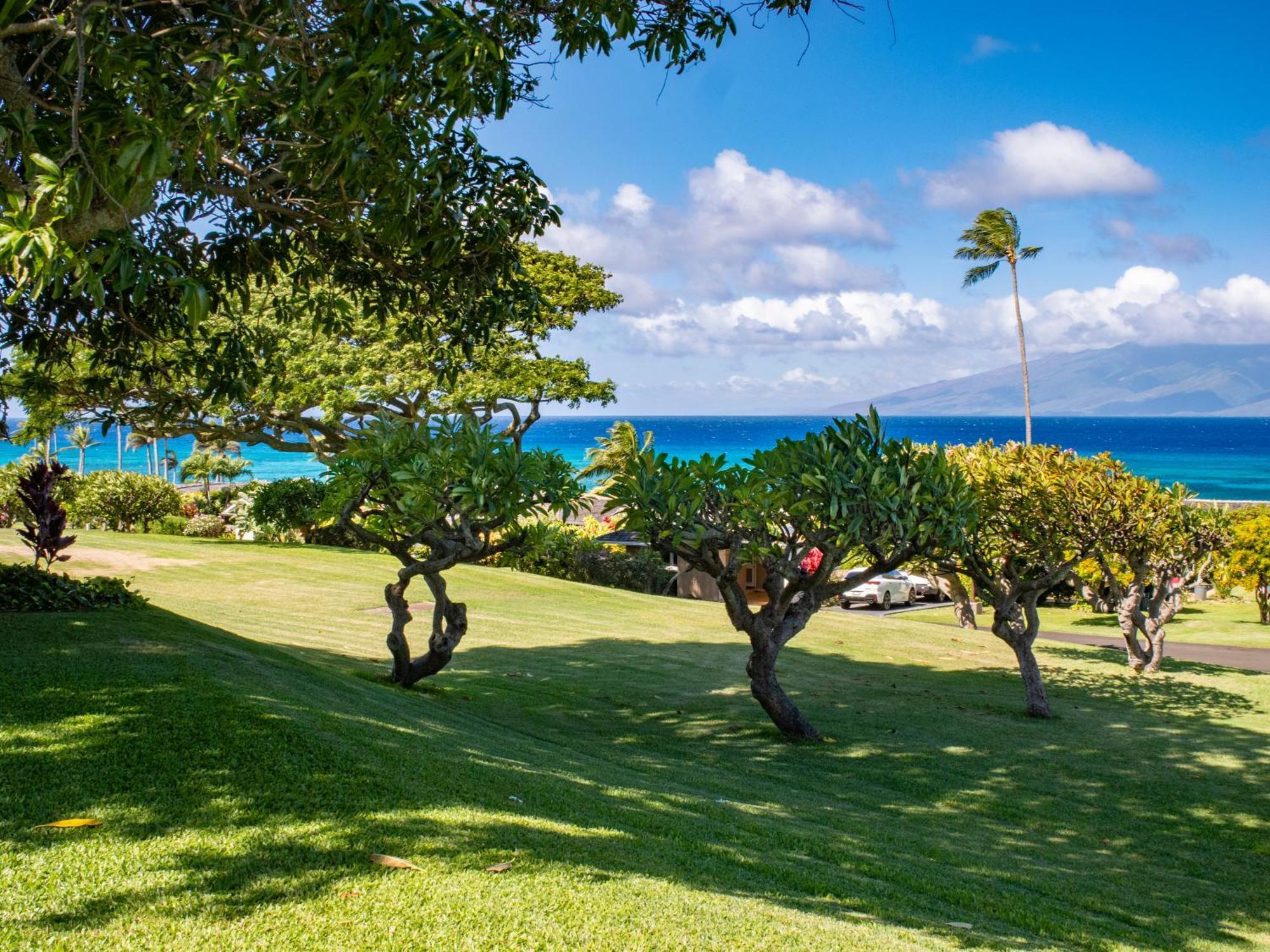 Exclusive Oceanfront Access At Alaeloa #3 *
