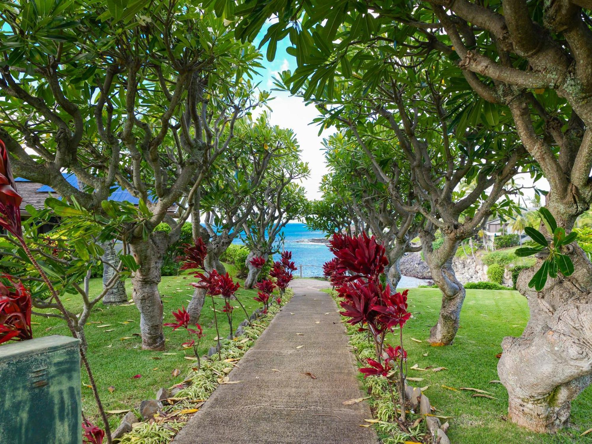 Exclusive Oceanfront Access At Alaeloa #3 Holiday home