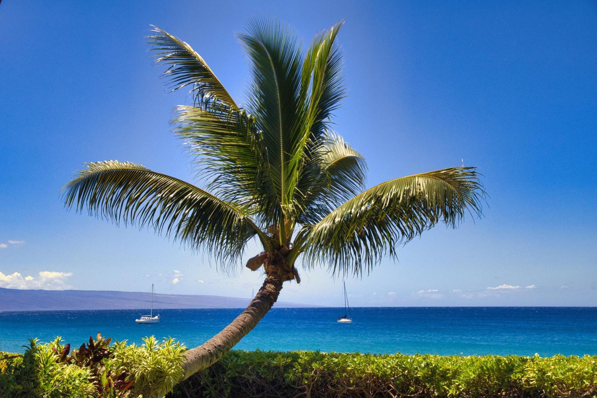 Luxurious Oceanfront Retreat At Kaanapali Alii Experience Aloha In Every Moment Lahaina