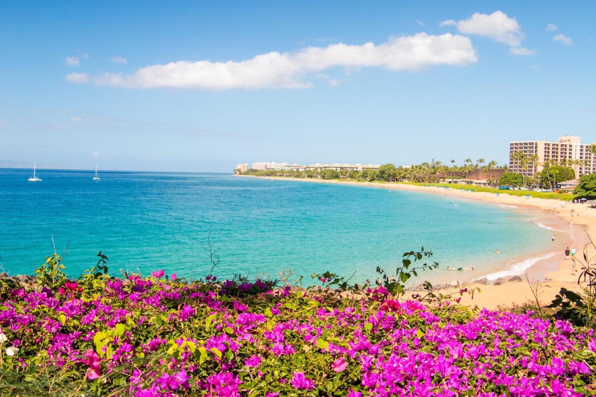 Holiday home Luxurious Oceanfront Retreat At Kaanapali Alii Experience Aloha In Every Moment Lahaina